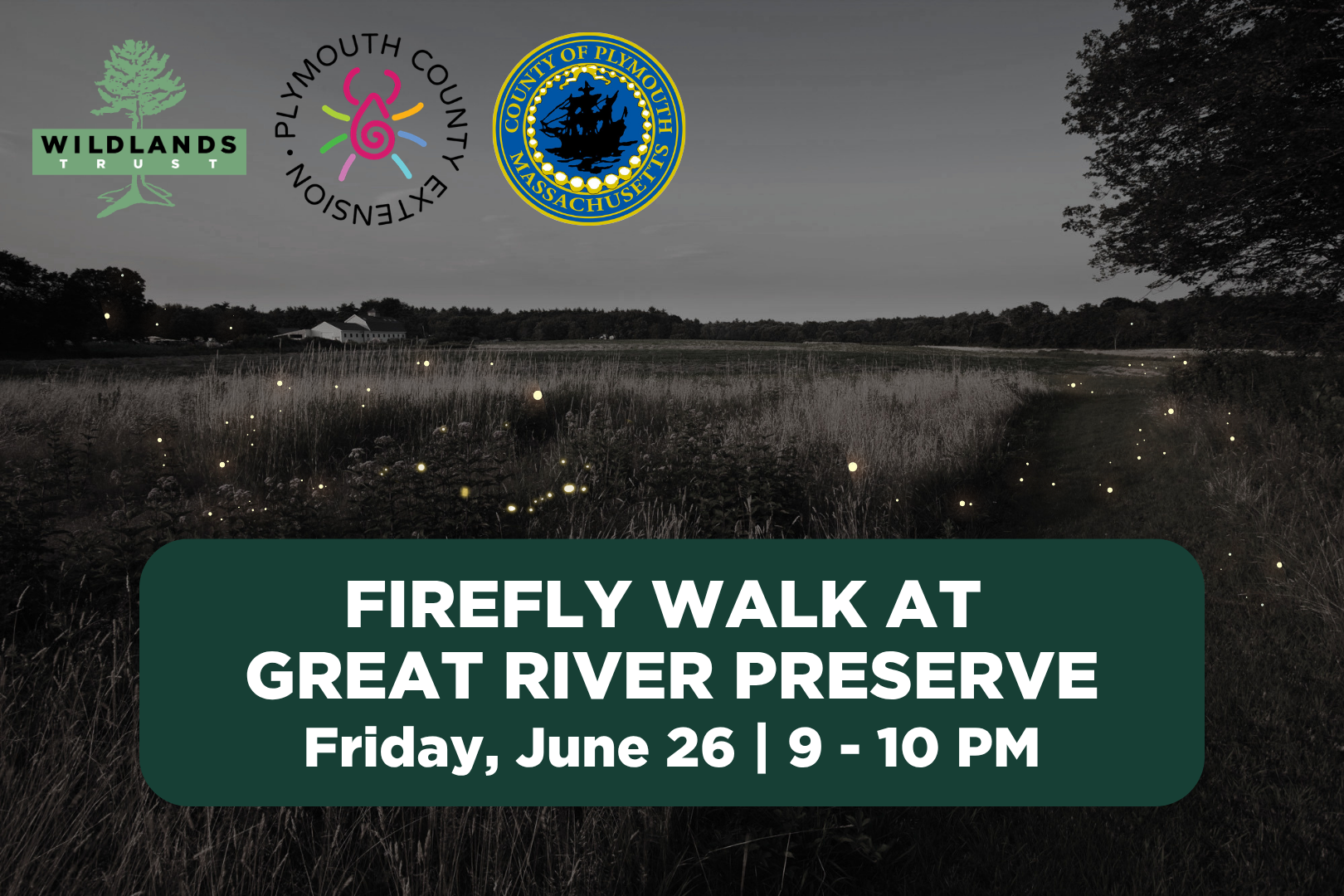 Firefly Walk at Great River Preserve