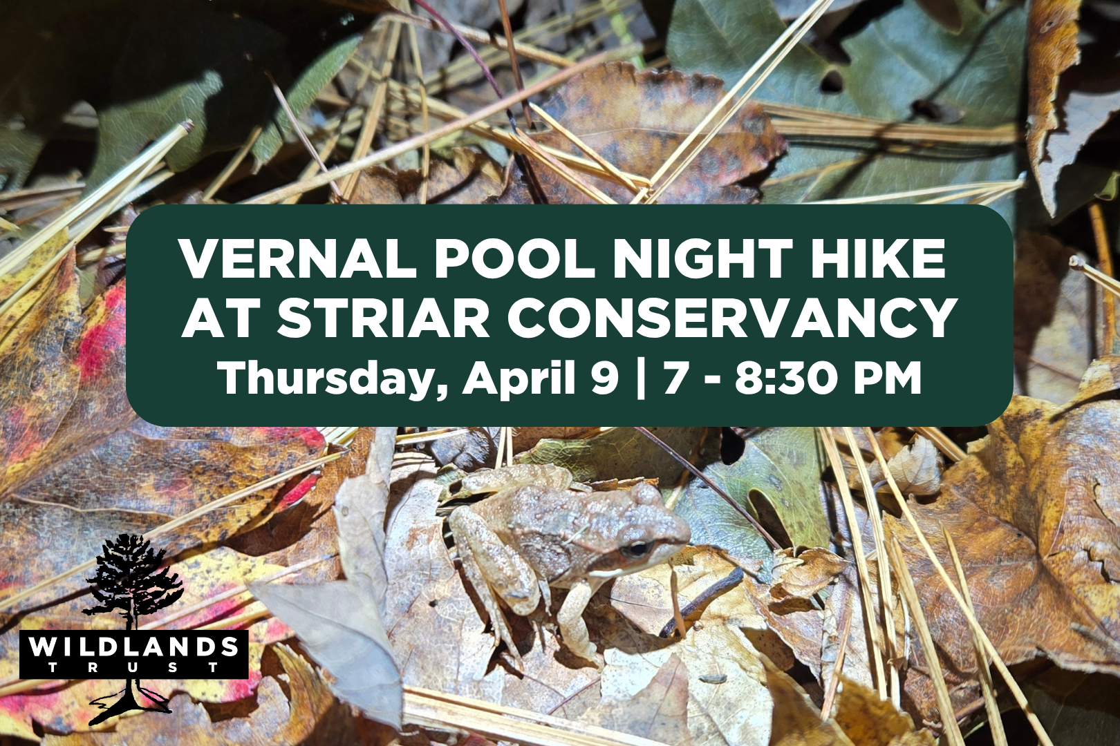 Vernal Pool Night Hike at Striar Conservancy
