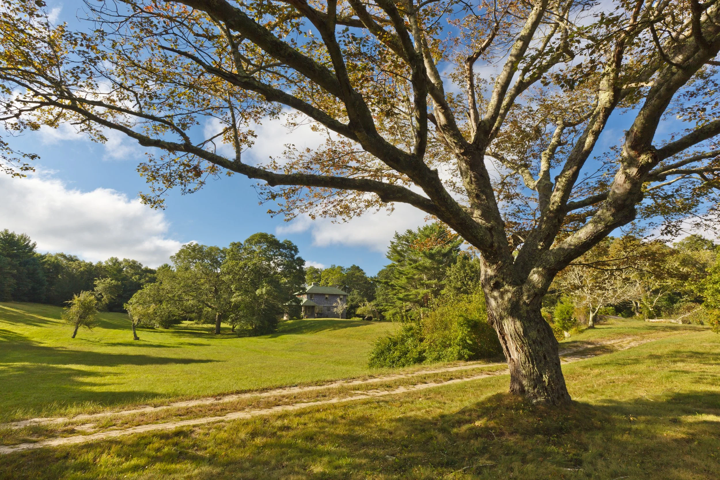 davis-douglas 040.jpg