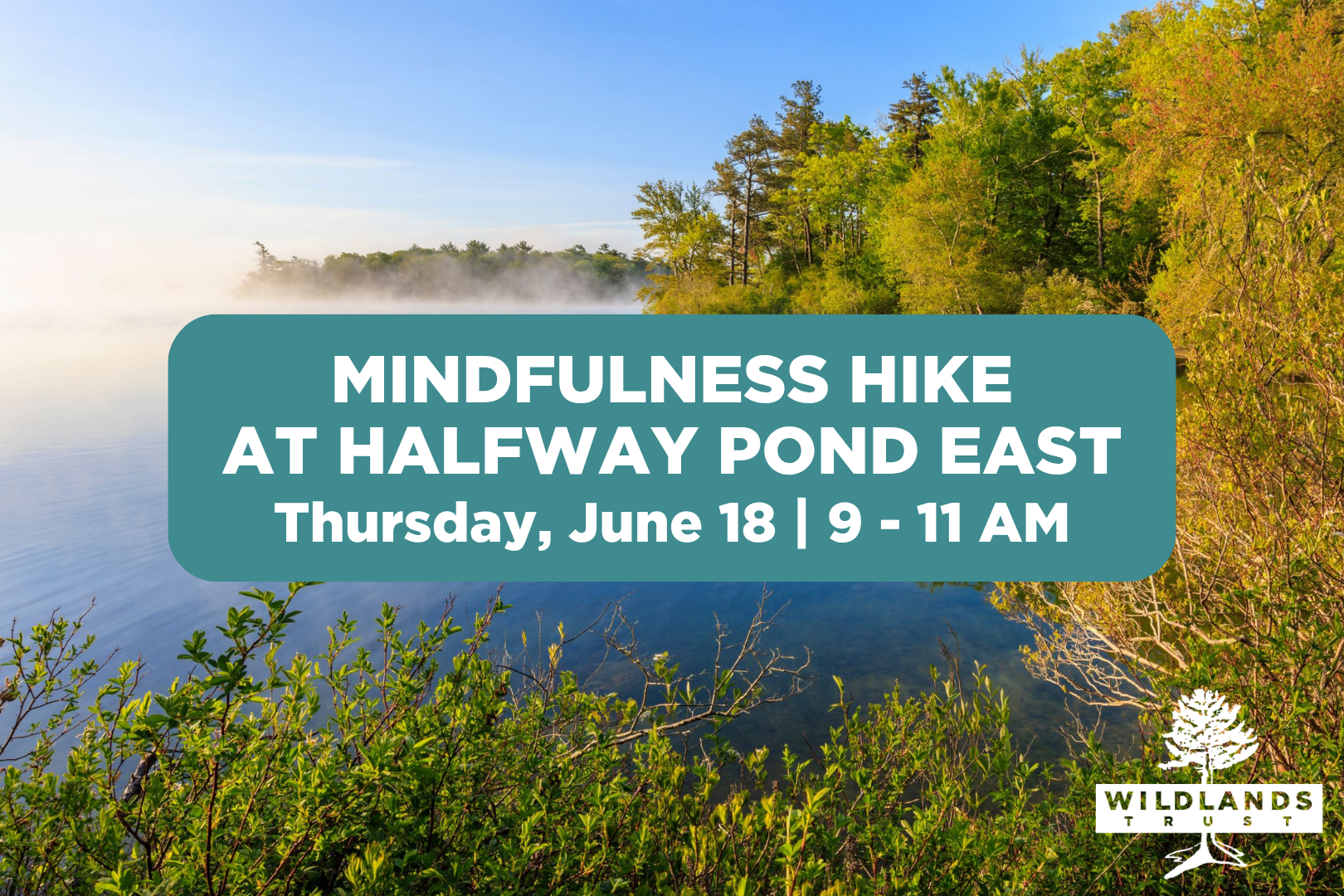 Mindfulness Hike at Halfway Pond East