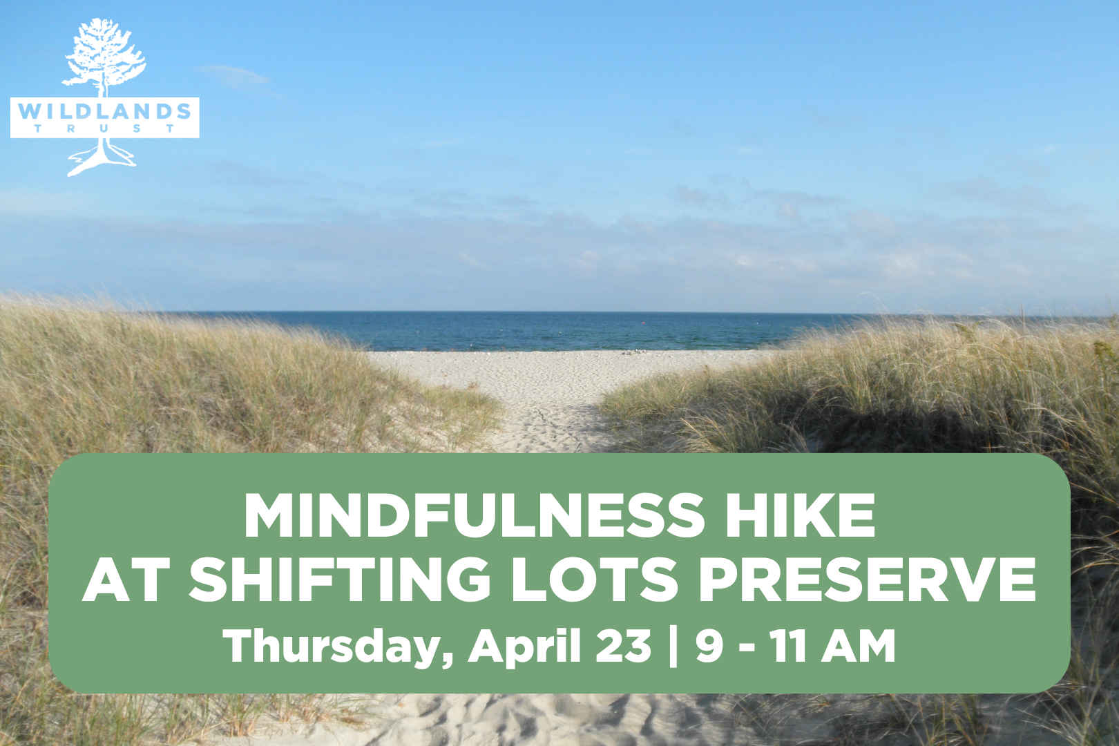 Mindfulness Hike at Shifting Lots Preserve