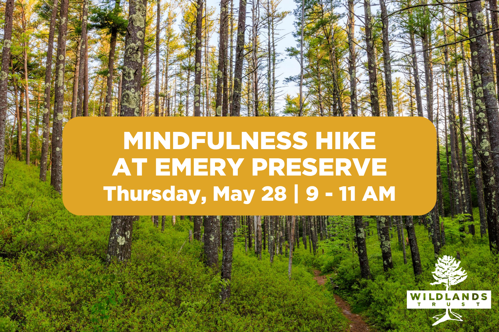 Mindfulness Hike at Emery Preserve