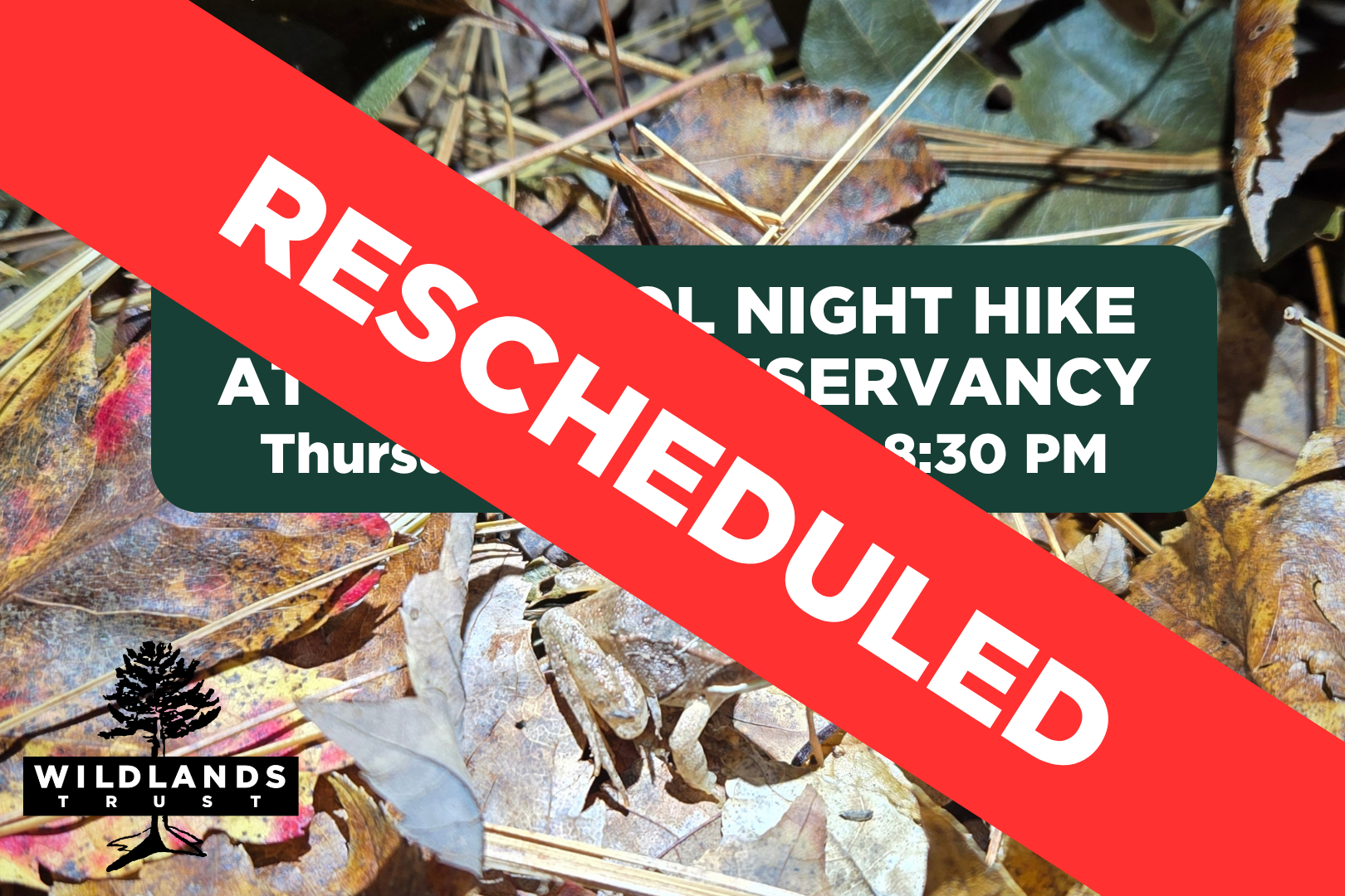 Vernal Pool Night Hike at Striar Conservancy