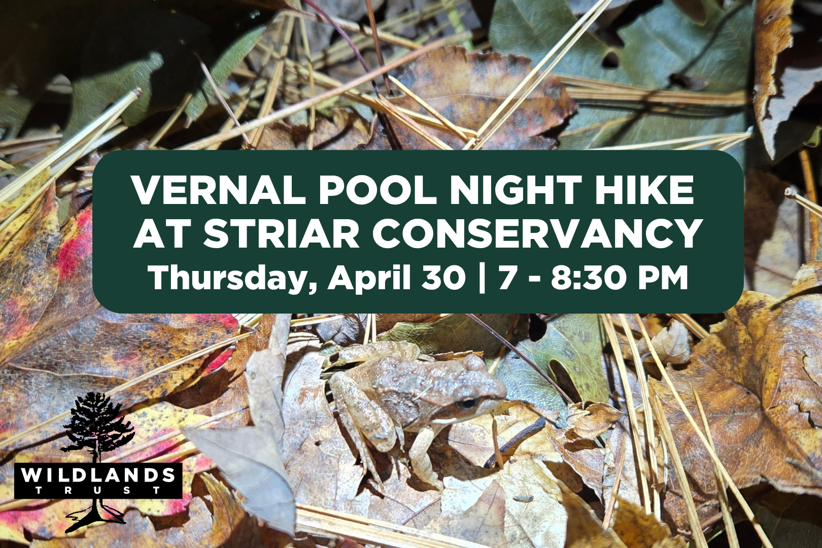 Vernal Pool Night Hike at Striar Conservancy