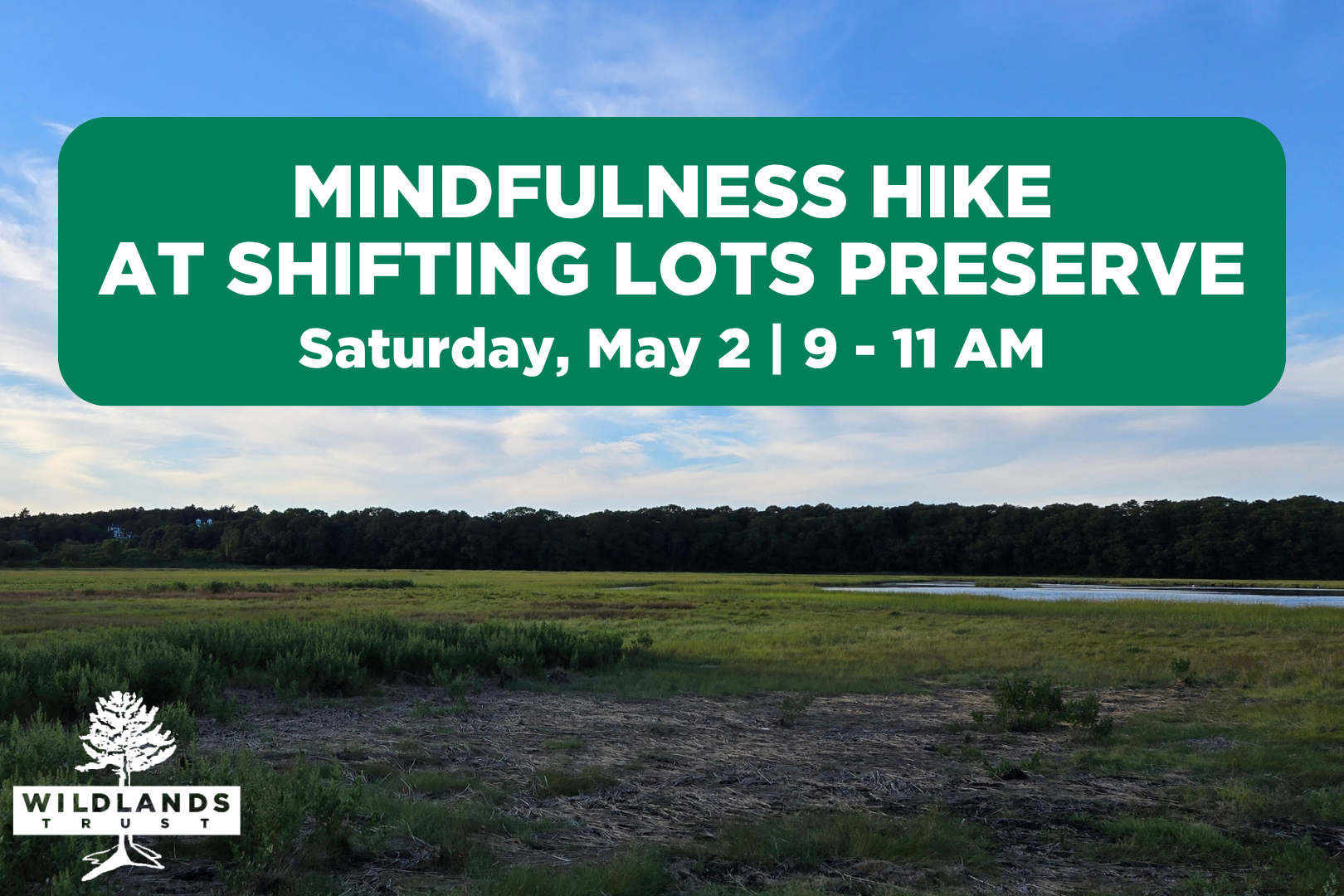 Mindfulness Hike at Shifting Lots Preserve