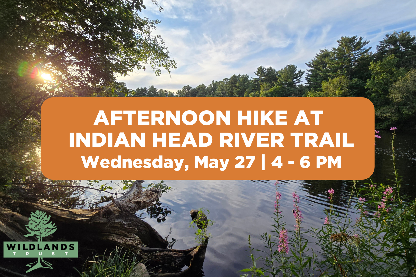 Afternoon Hike at Indian Head River Trail