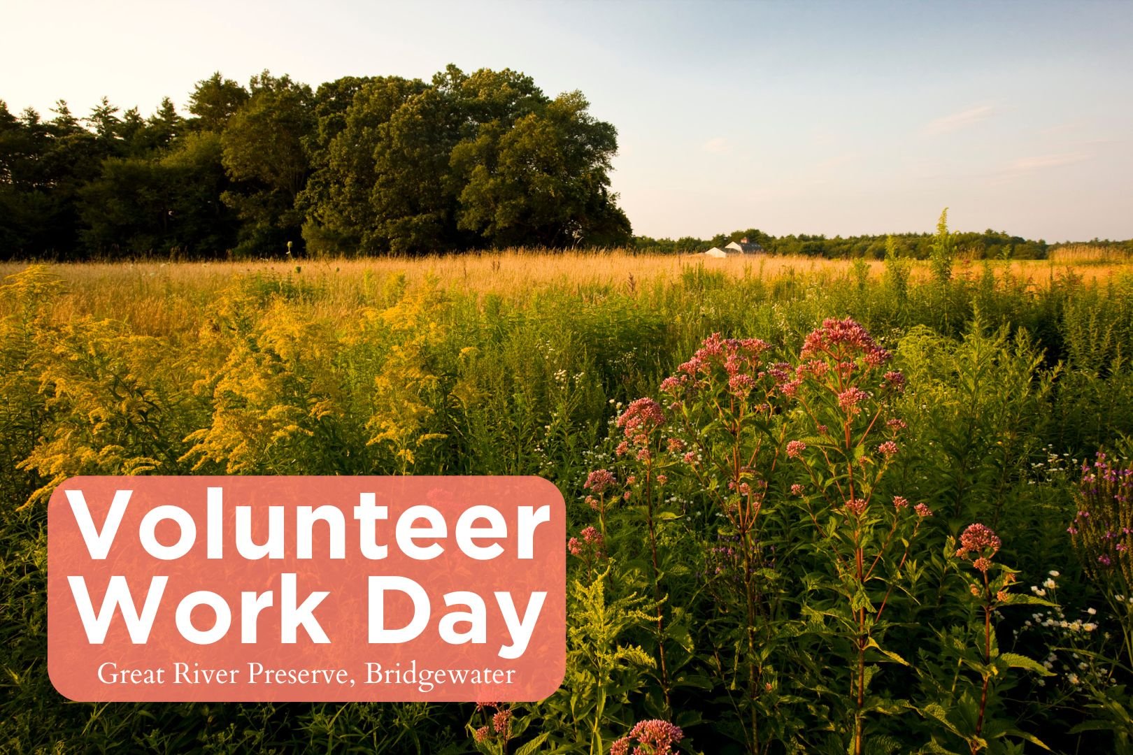 VolunTuesday - Great River Preserve