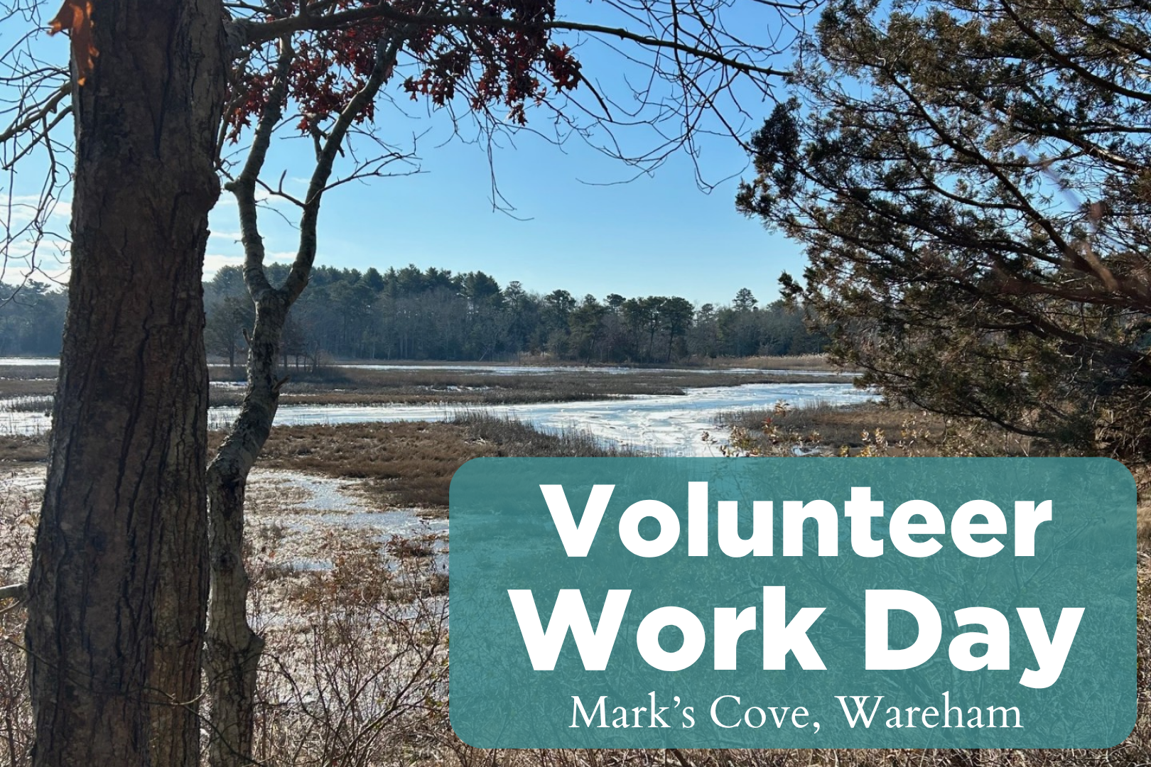 VolunTuesday - Mark’s Cove