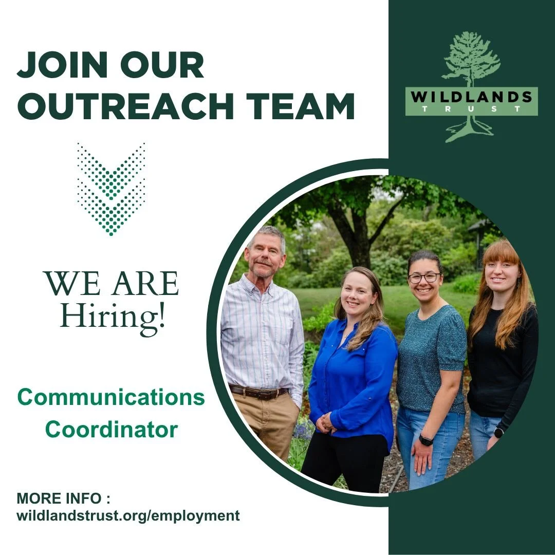 We're hiring! 

Wildlands Trust seeks a full-time Communications Coordinator to raise the organization&rsquo;s visibility throughout Southeastern Massachusetts. The ideal candidate is an excellent writer, creative thinker, and team player who is exci
