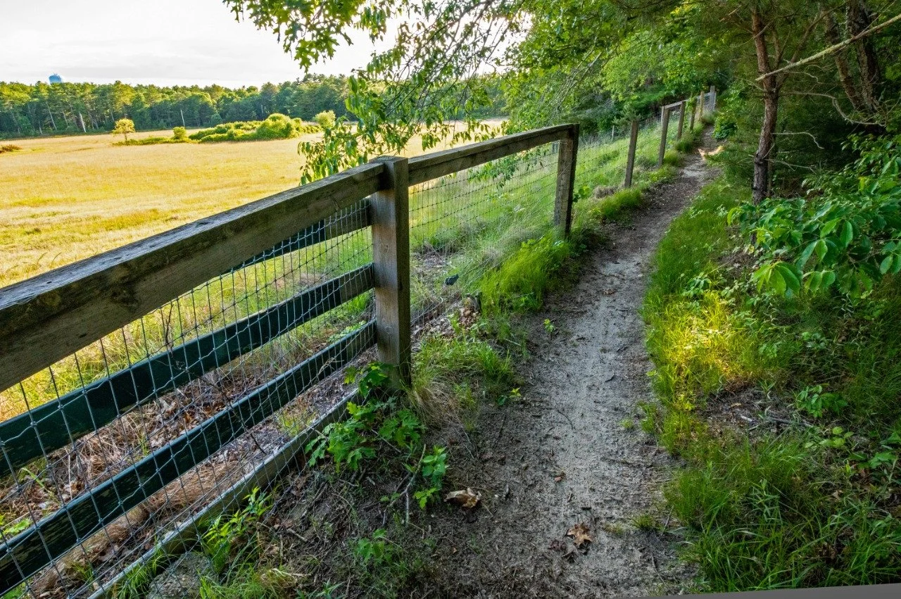 Property Highlight: Great Neck Conservation Area, Wareham

Geological, ecological, and cultural history converge at Great Neck Conservation Area. Varied coastal habitats support diverse wildlife on these scenic 104 acres. Look out for Osprey, Snowy E