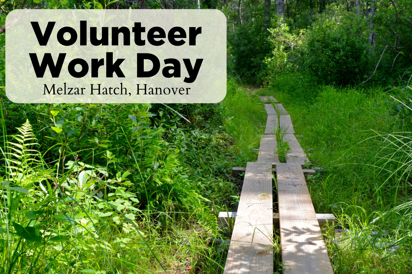 VolunTuesday - Melzar Hatch