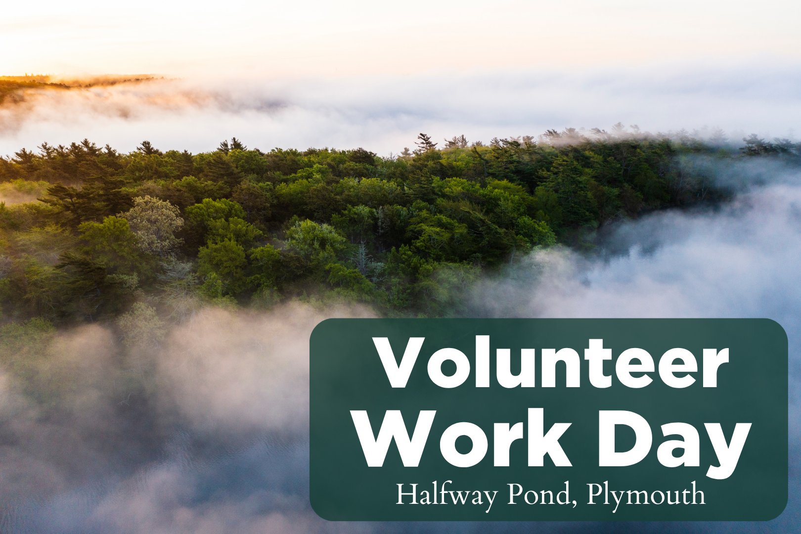 VolunTuesday - Halfway Pond