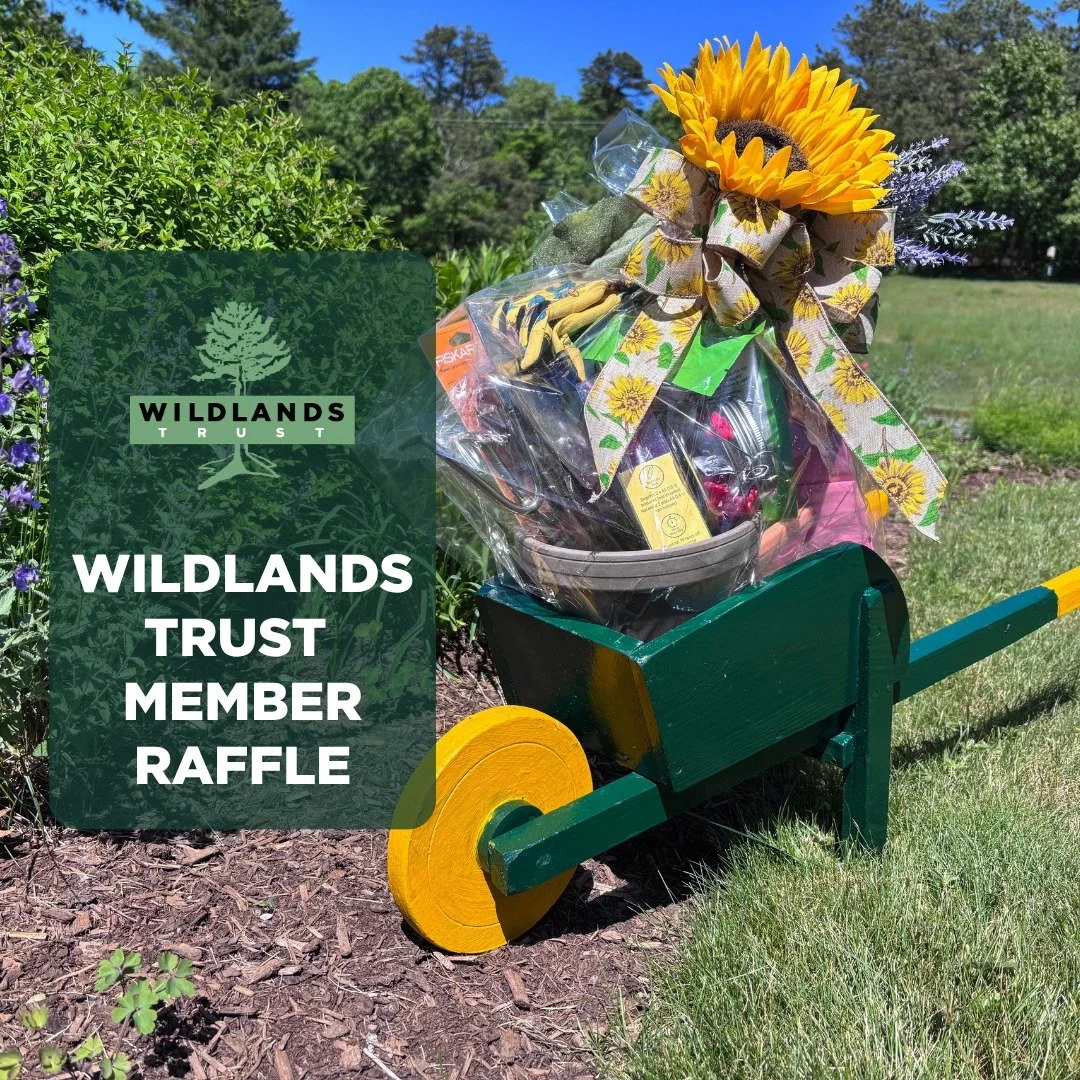 Support land conservation for clean air, scenic trails, diverse wildlife... and gardening essentials gift basket!? 🌻🐝

Join Wildlands Trust or renew your membership for $50 or more before Tuesday, June 30, to be automatically entered for A Gardener