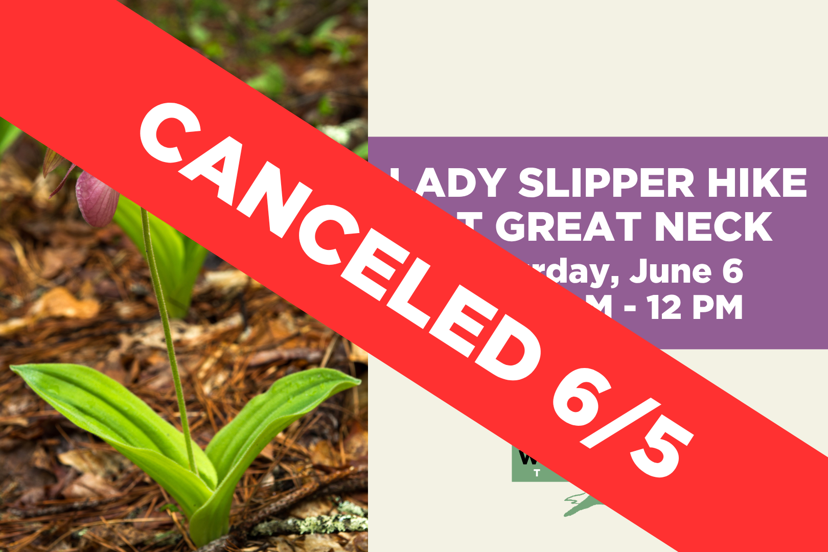 Lady Slipper Hike at Great Neck