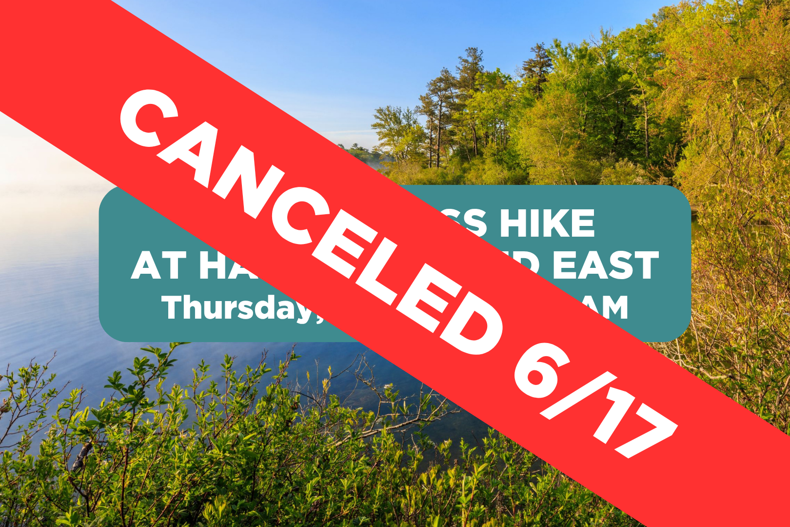 Mindfulness Hike at Halfway Pond East