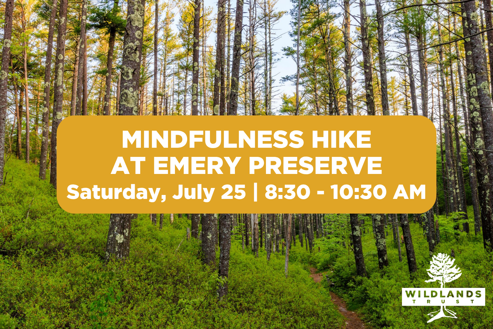Mindfulness Hike at Emery Preserve
