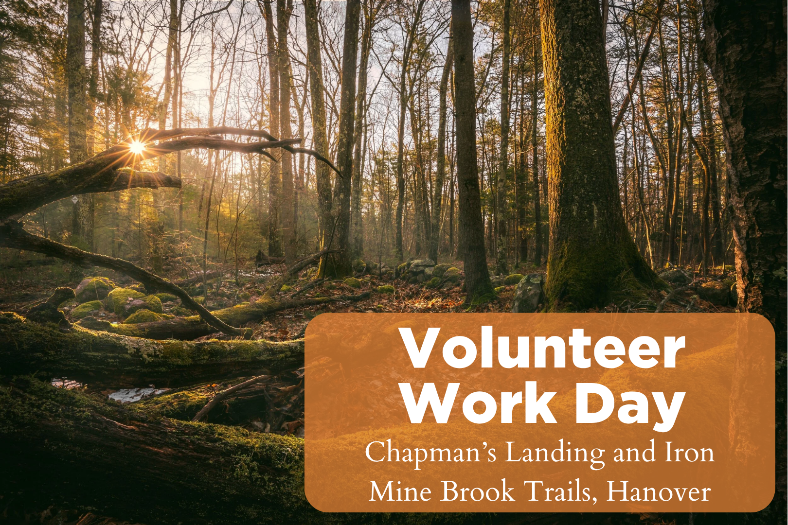 VolunTuesday - Chapman’s Landing and Iron Mine Brook Trails