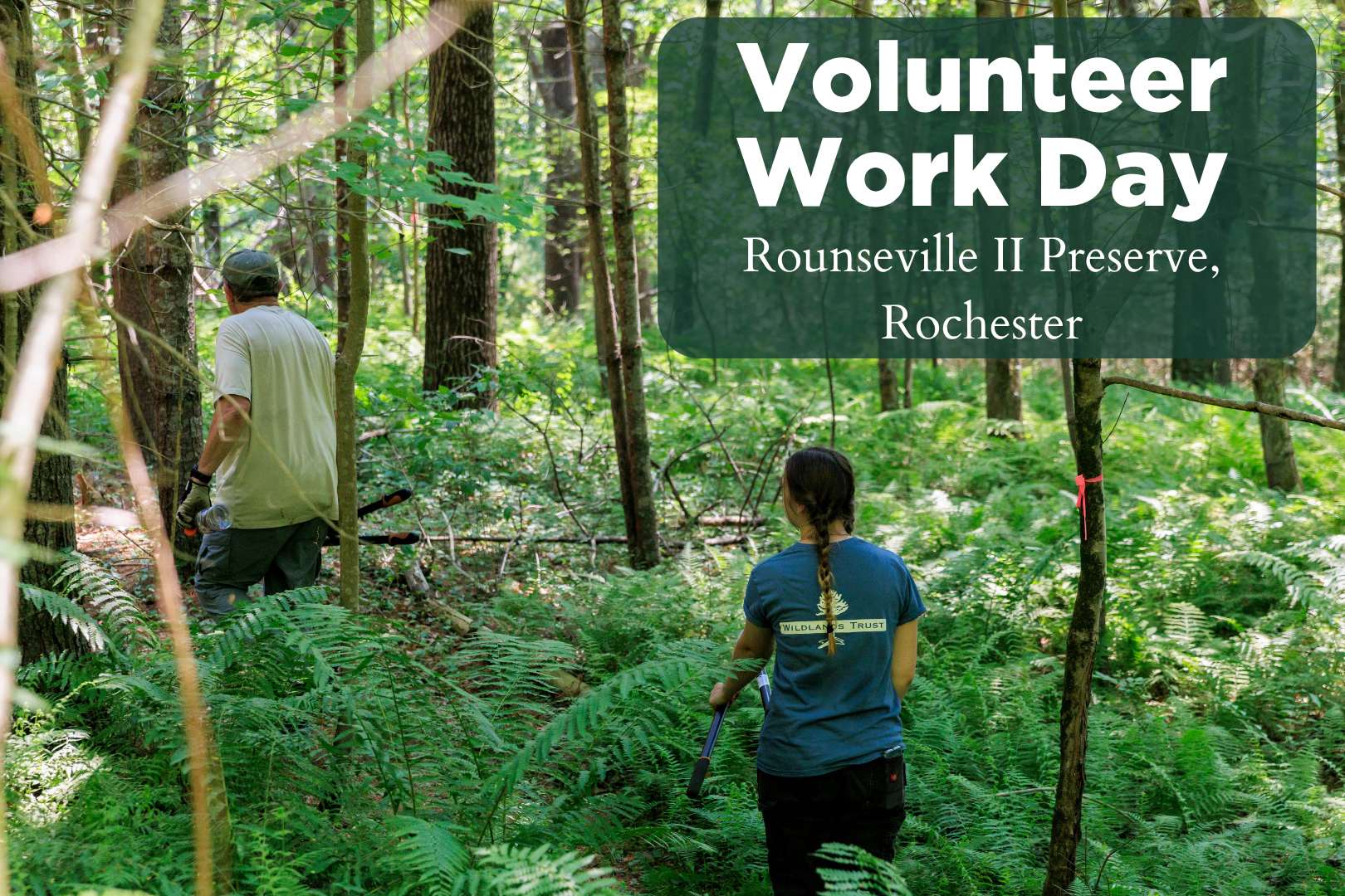 VolunTuesday - Rounseville Preserve