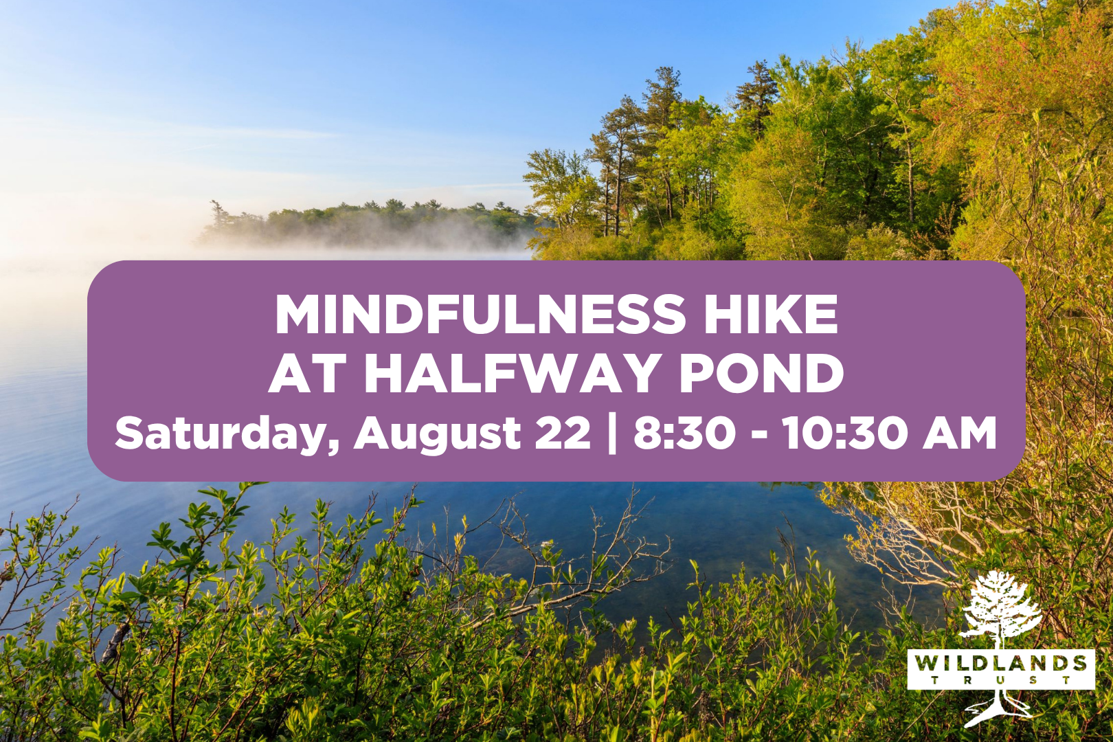 Mindfulness Hike at Halfway Pond