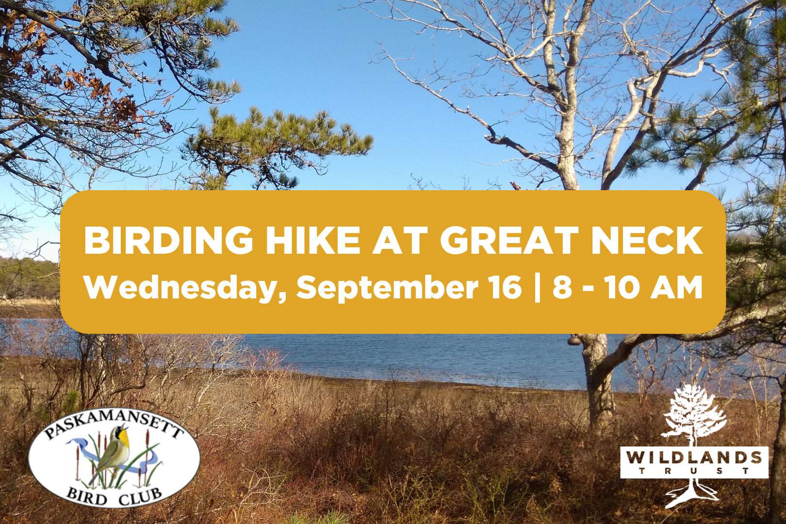 Birding Hike at Great Neck