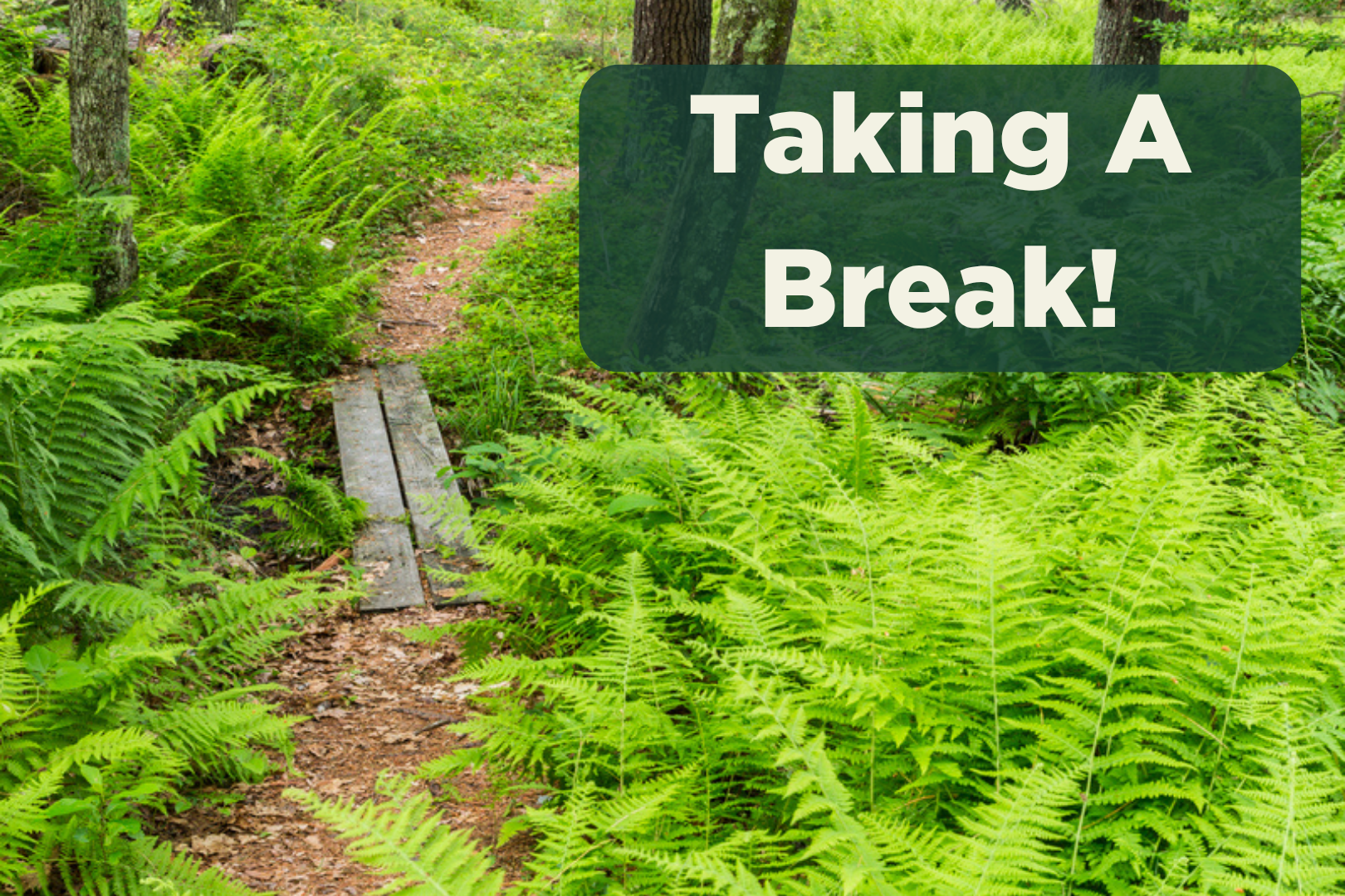 VolunTuesday - Taking a Break!