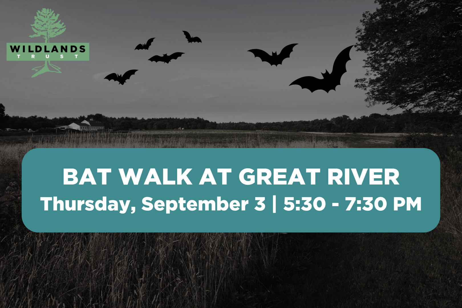 Bat Walk at Great River