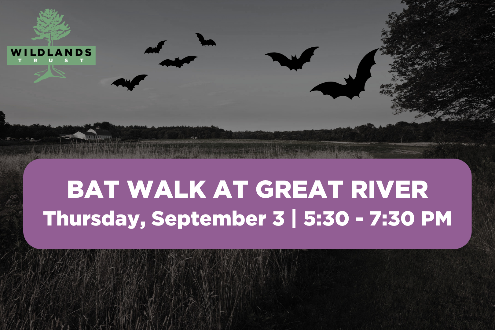 Bat Walk at Great River