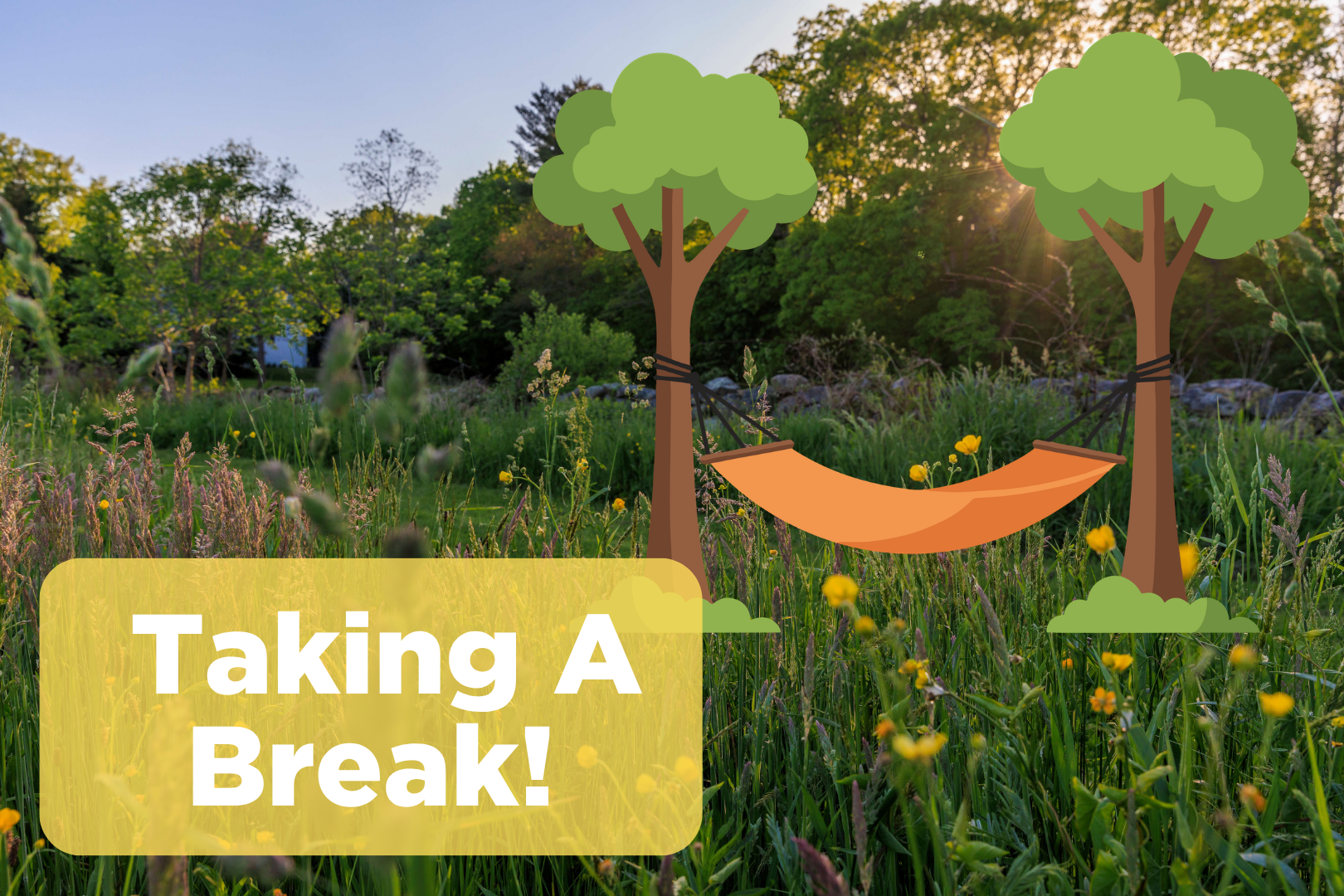 VolunTuesday - Taking a Break!