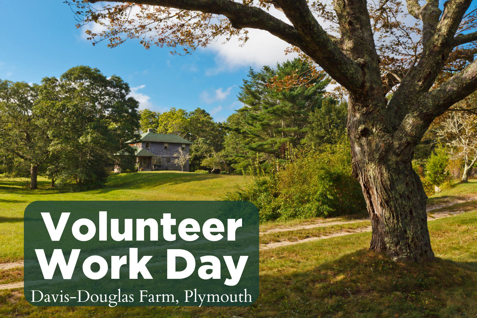 VolunTuesday - Wildlands Trust Headquarters