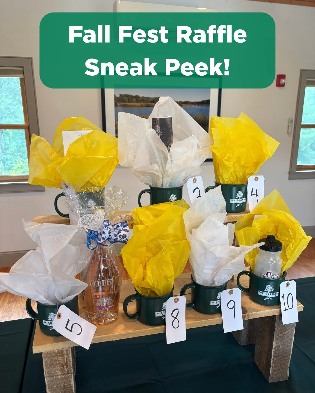 Need more reasons to visit Fall Fest this Saturday? Here's 11 of them! Introducing our raffle prizes, made possible by our many community partners, friends, and donors. Whether you're a gardening enthusiast, avid birdwatcher, shopaholic, or a local f