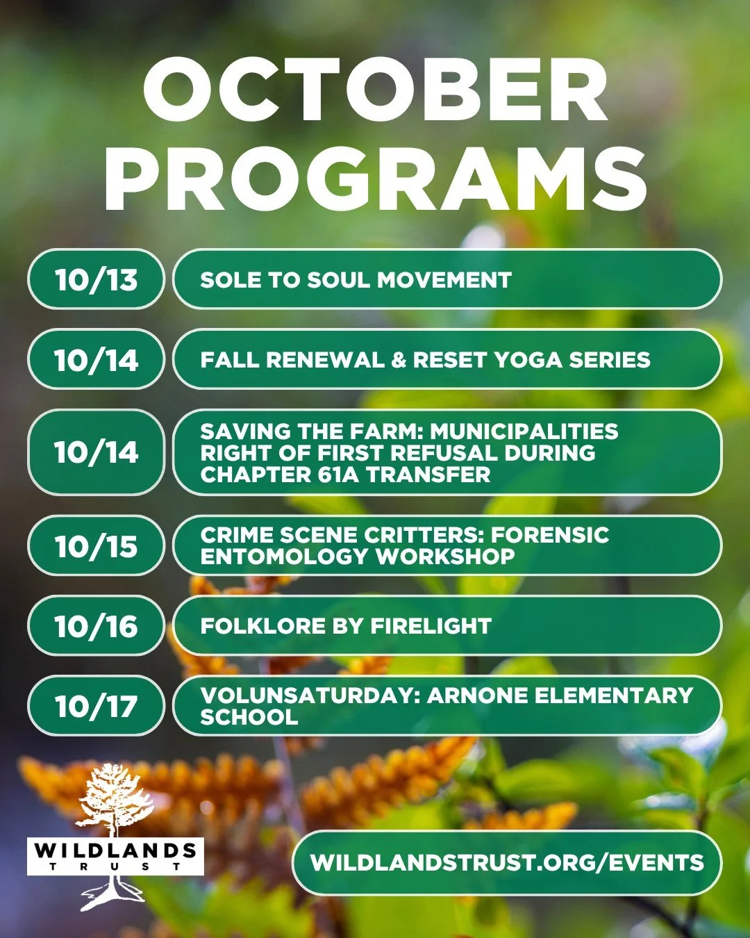 Take a look at our upcoming programs for the rest of October. We have lots of festive fall events for all ages and interests!

To learn more about these events and register, visit the link in our bio.