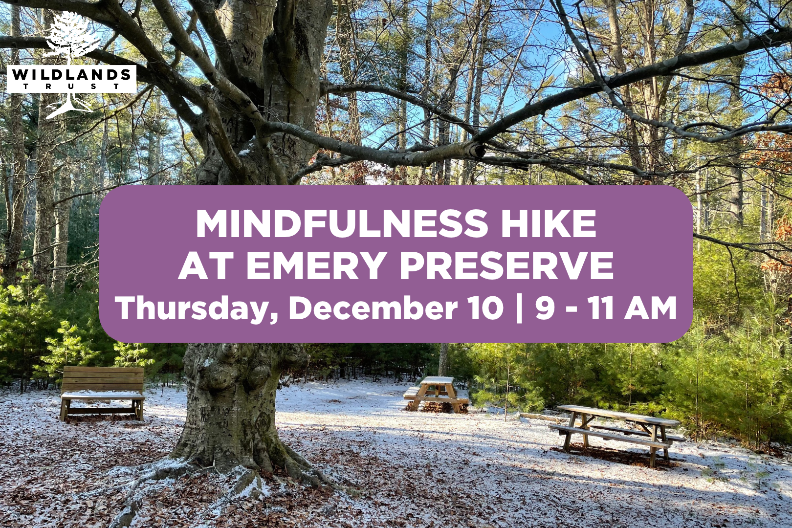 Mindfulness Hike at Emery Preserve