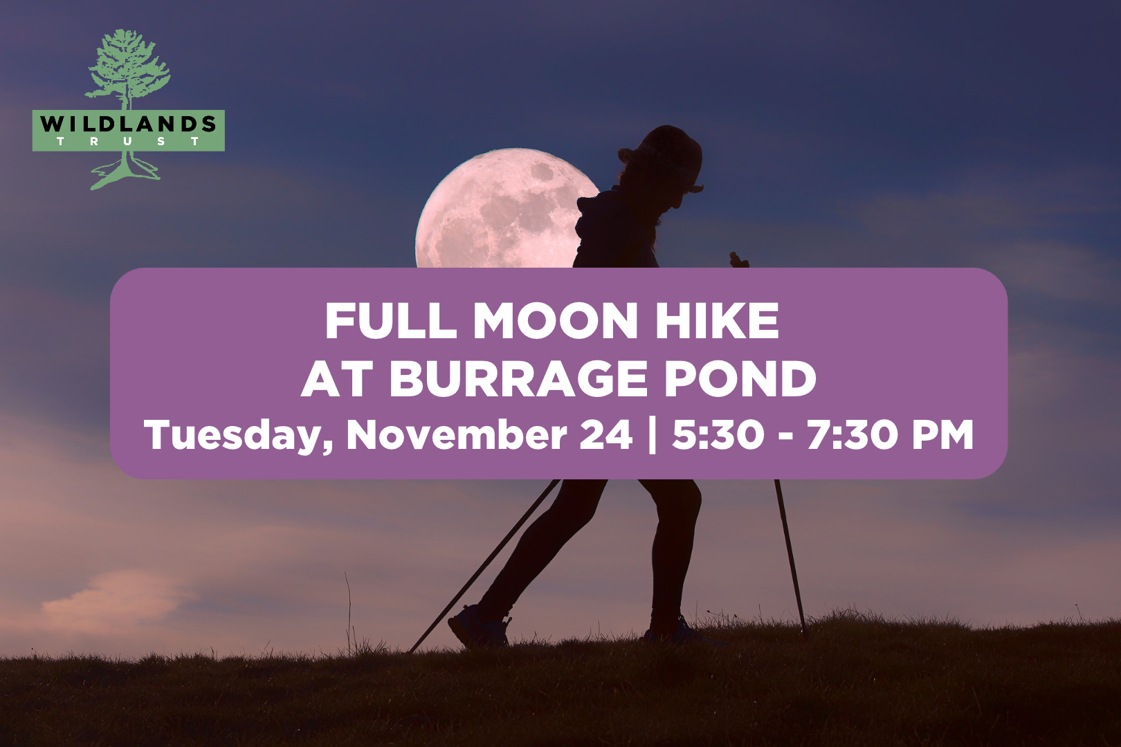 Full Moon Hike at Burrage Pond