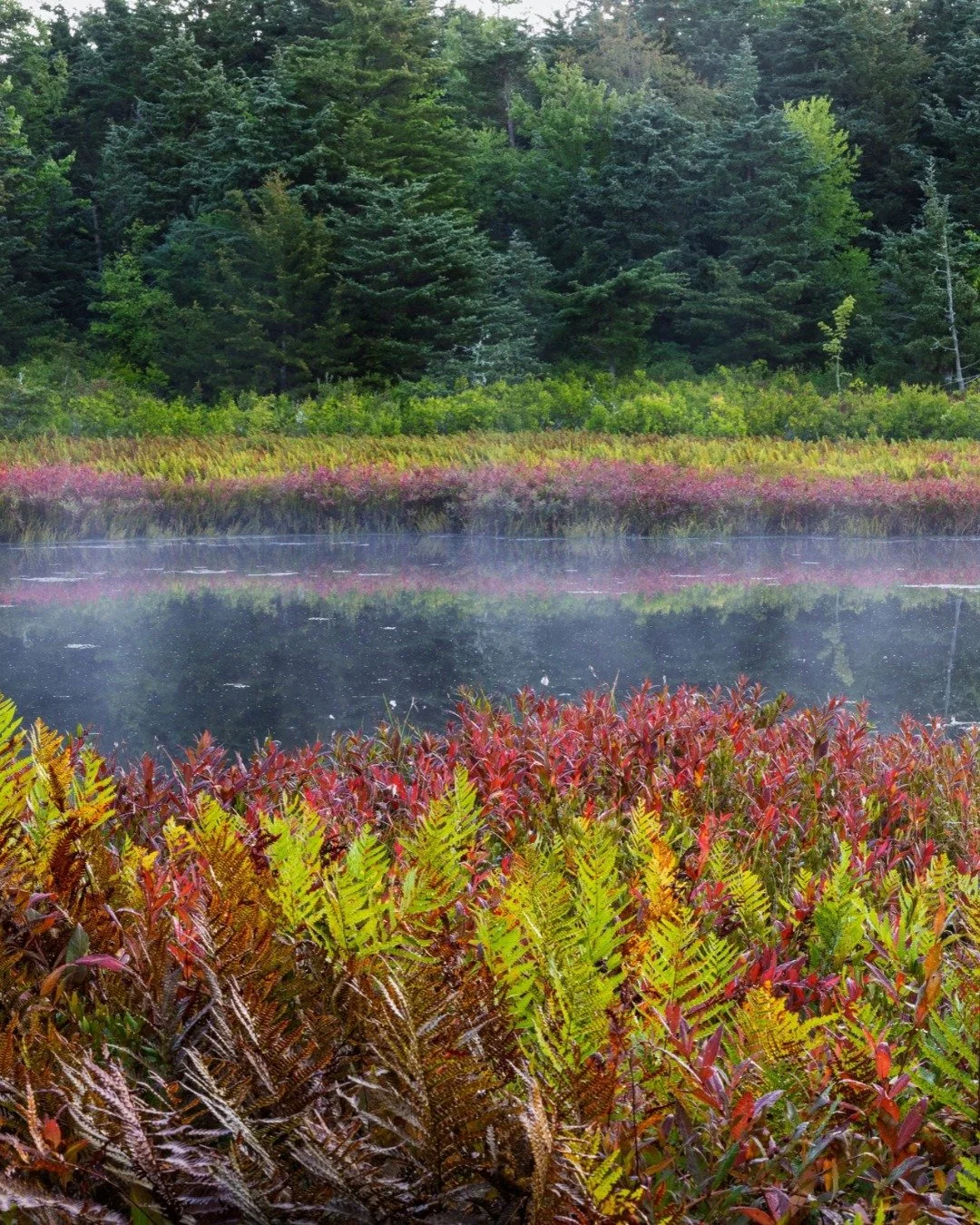 Not everything is always as it seems...

While this photo may look spooky, nature is always inviting and restorative.

There is still plenty of time to get outside and enjoy the fall season! To plan your next hike, visit wildlandstrust.org/trails