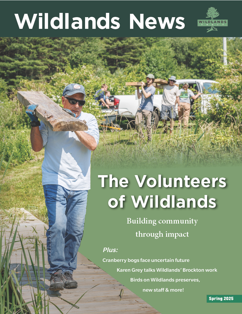 Spring 2025 NL cover.png