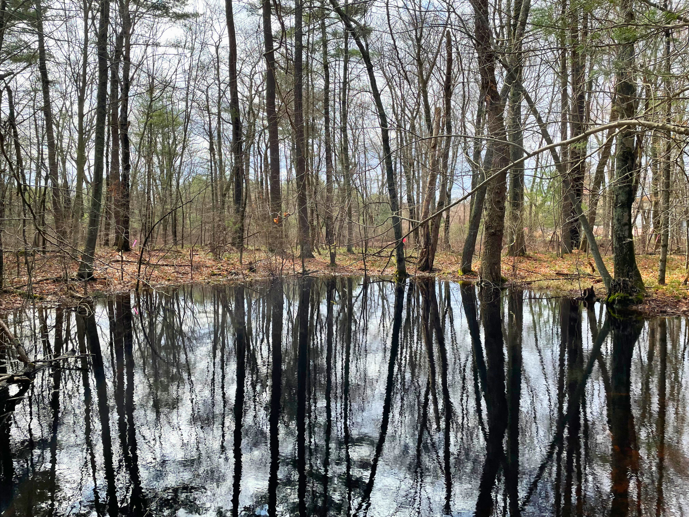 Wildlands Trust — Vernal Pool Certification to Educate and Inspire