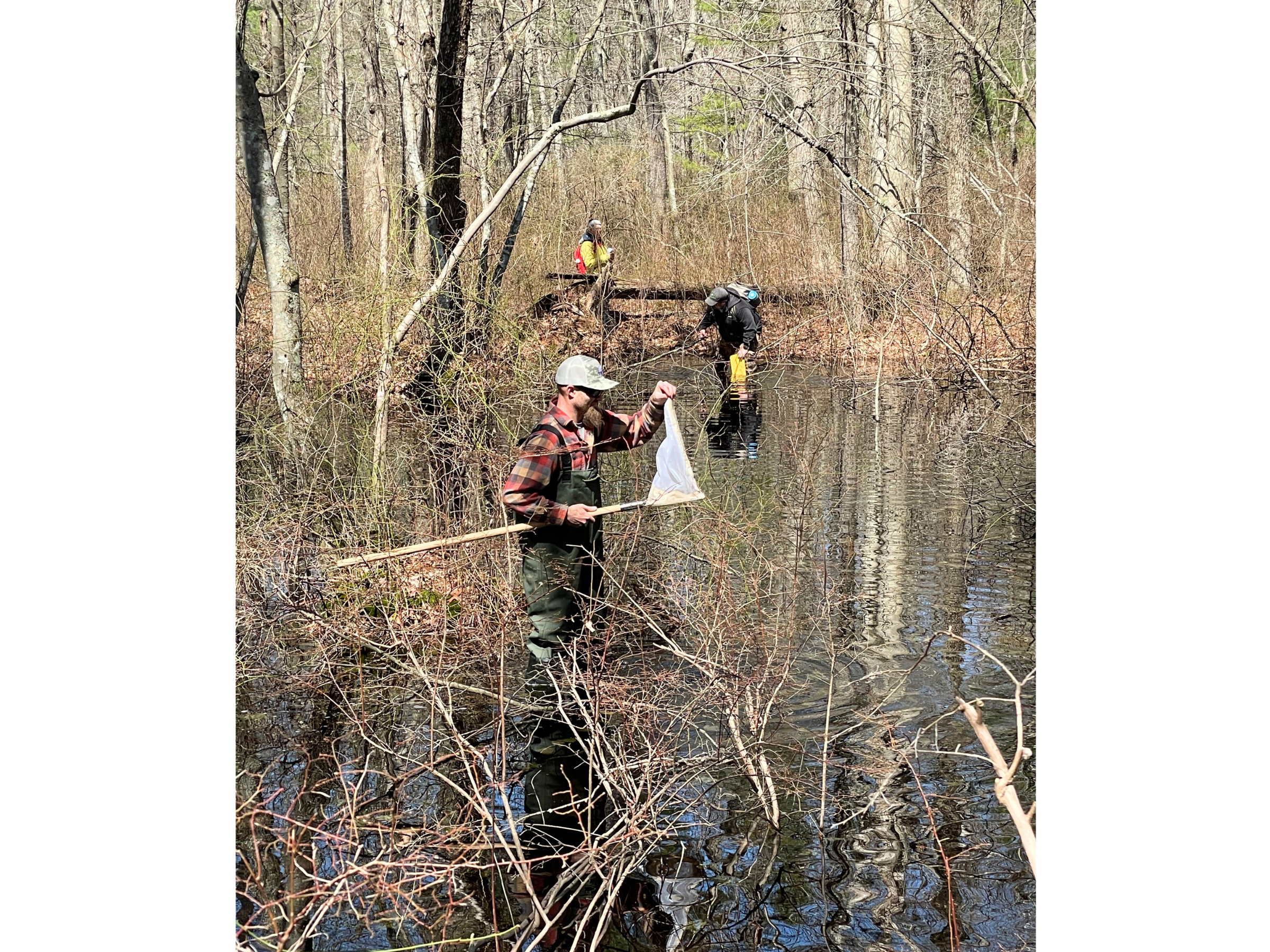Wildlands Trust — Vernal Pool Certification to Educate and Inspire