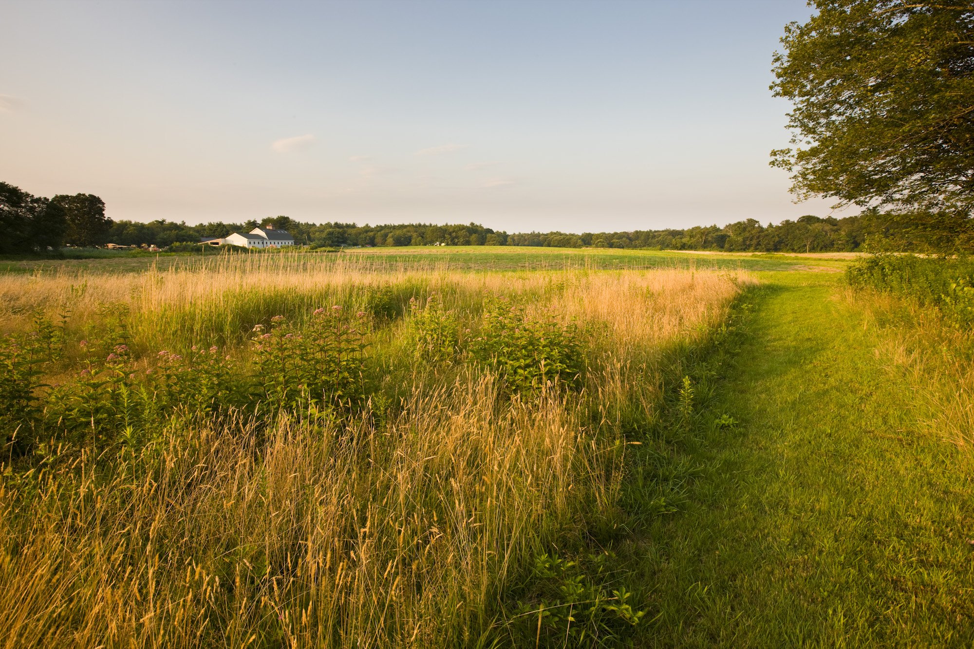 A farm field with a historic house in the background.