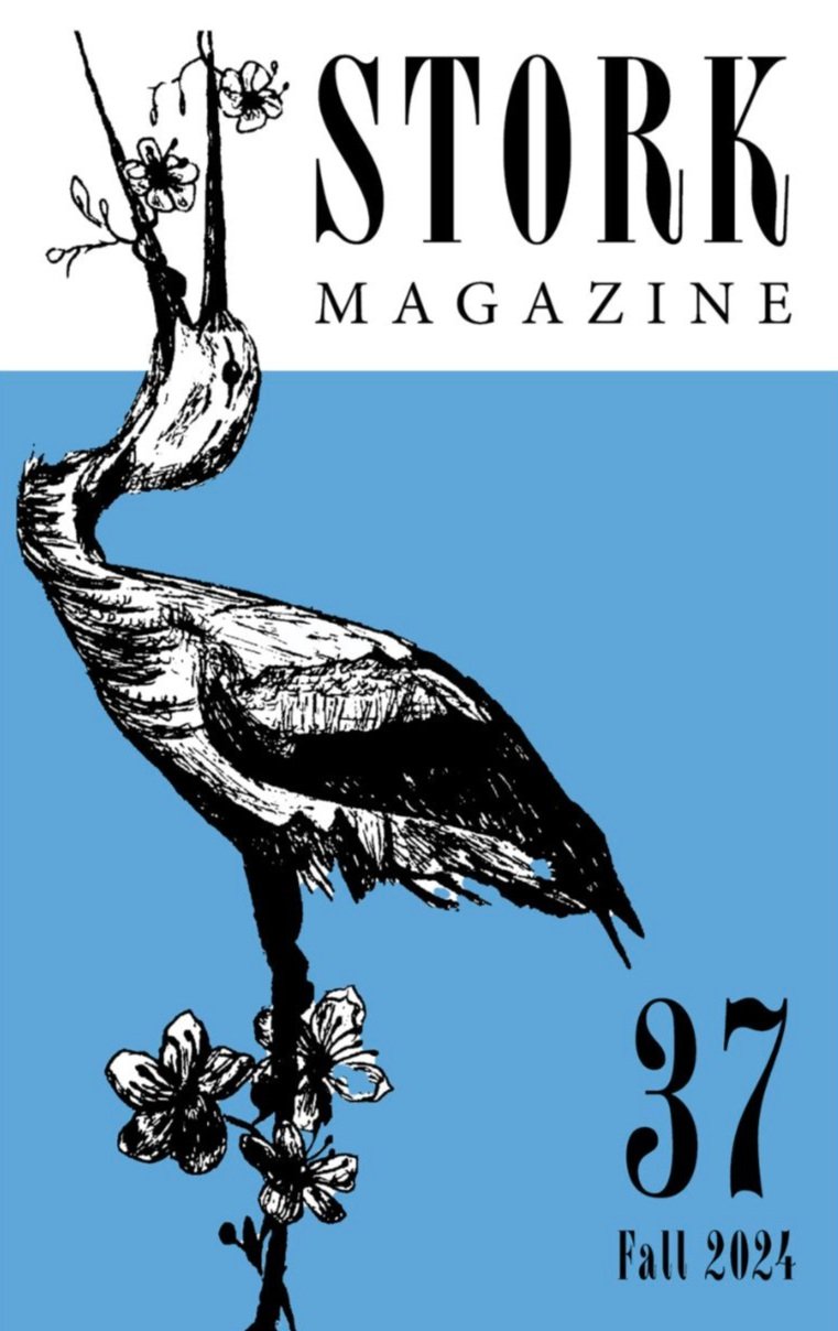 Stork Magazine Vol. 37 - Print, Ebook, & Audio Editions