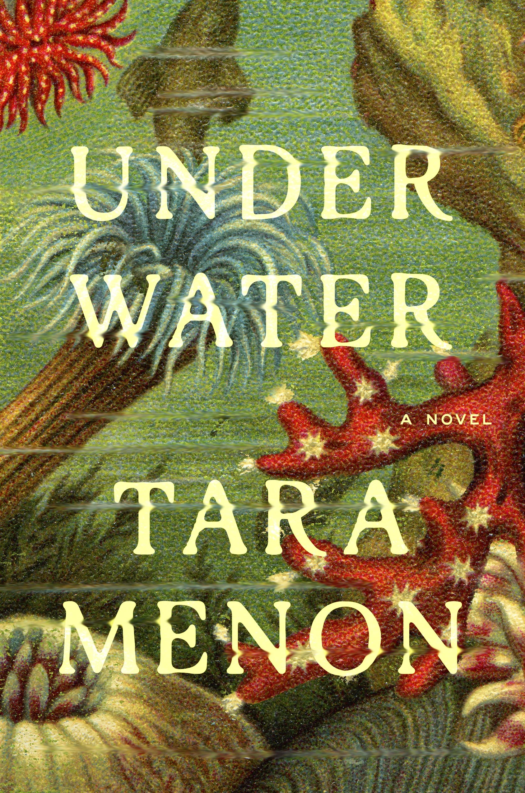 US cover.jpg