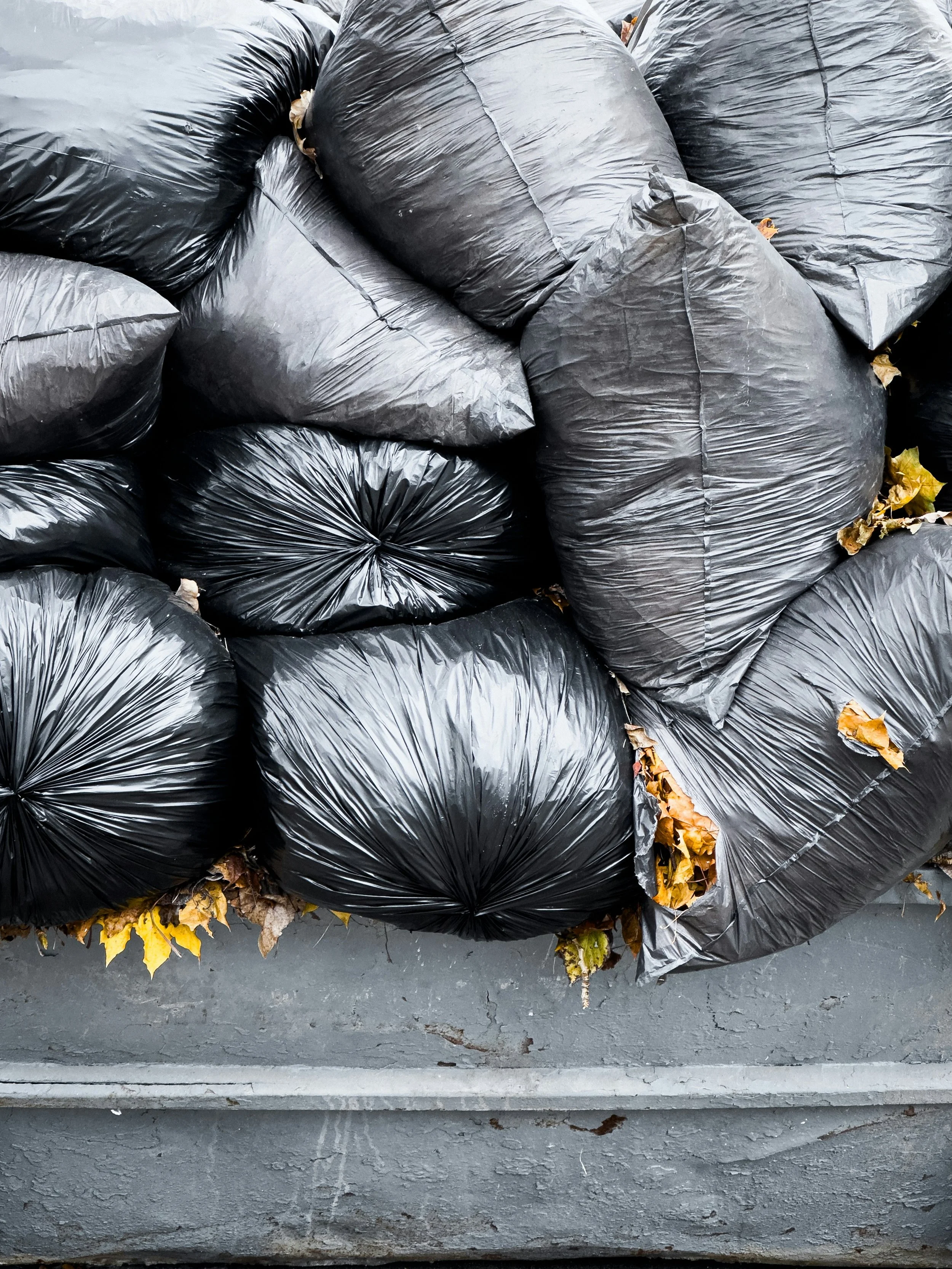 Stack of black garbage bags filled with leaves and debris