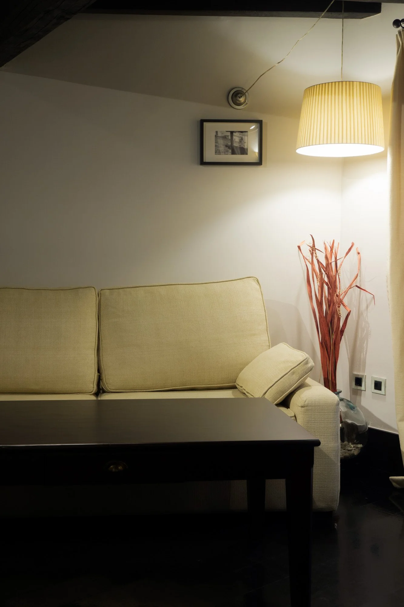 Estudio estándar_403_0.jpg