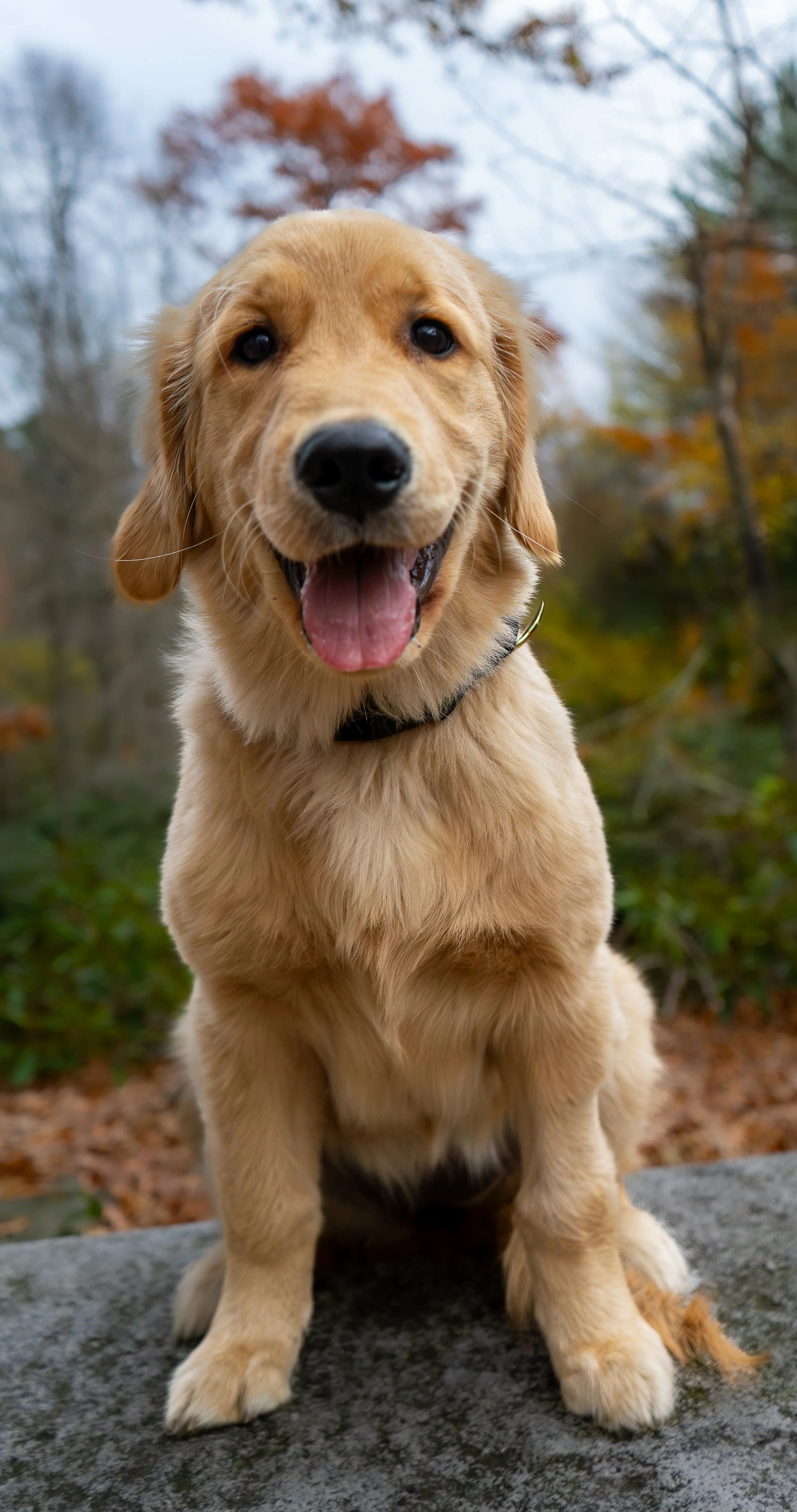 Q &amp; A With the Photographer