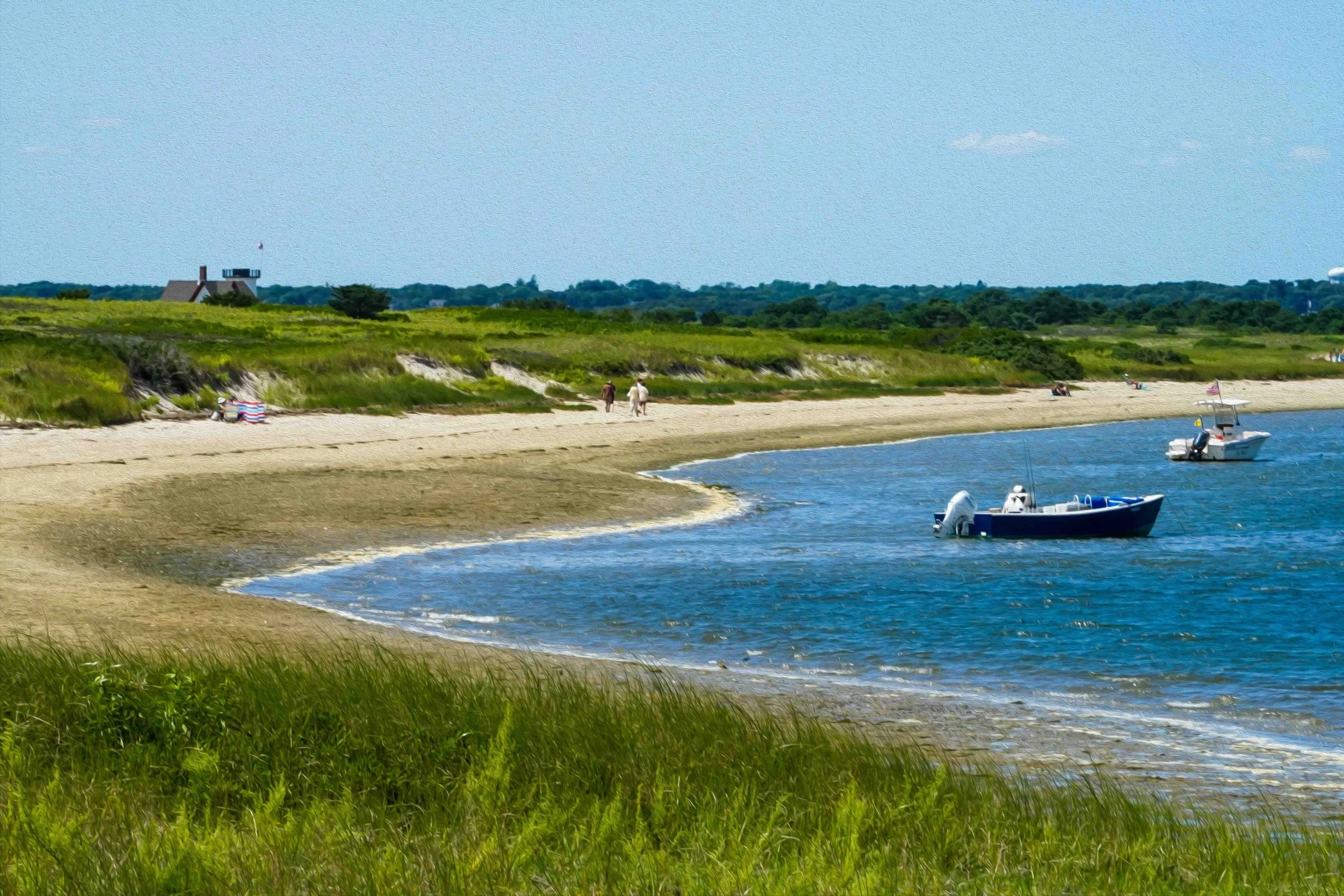 Monomoy Artsy copy.jpg