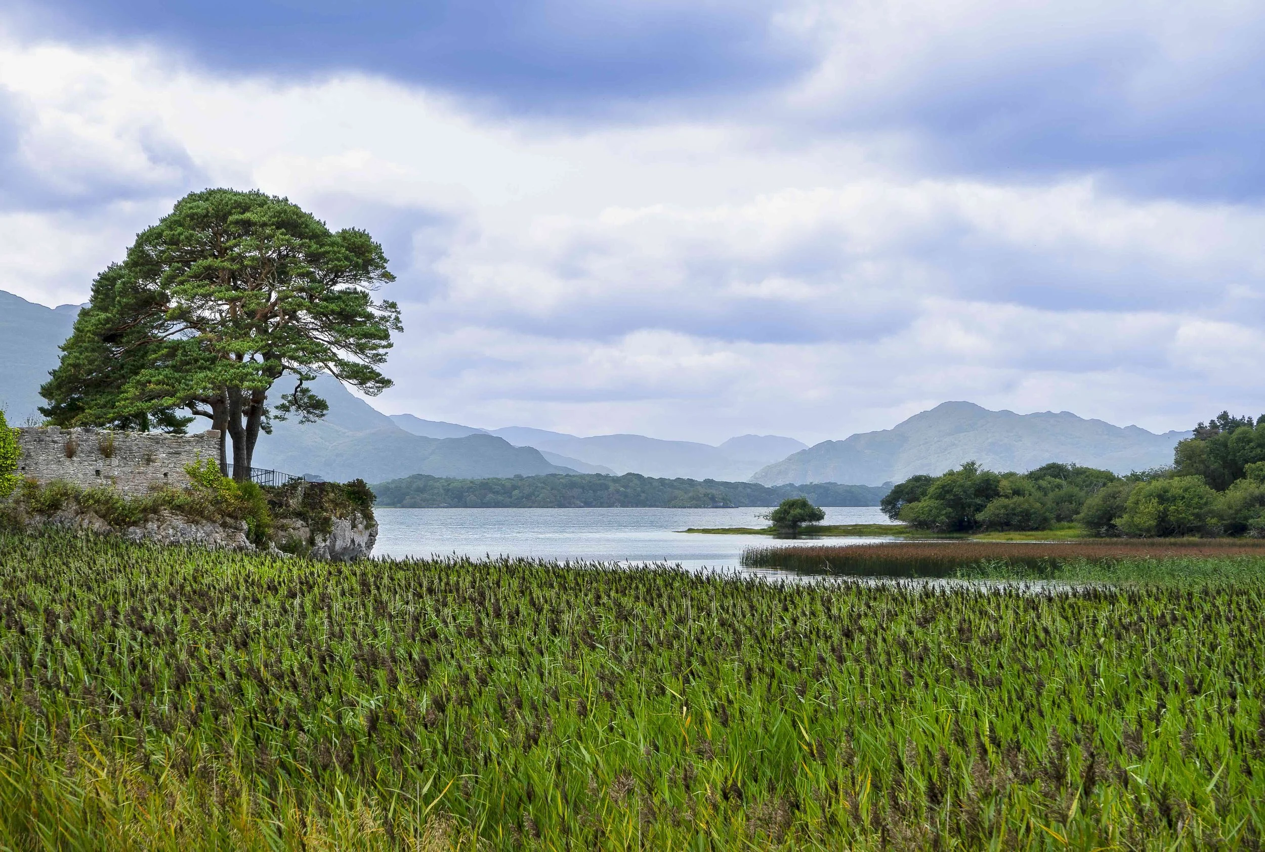 Killarney National Park: Serene view of the lake and mountains inside of Killarney National Park in Ireland.

(Exhibited in PRC’s Your Work Here, Lesley’s VanDernoot Gallery, 2/2026.)