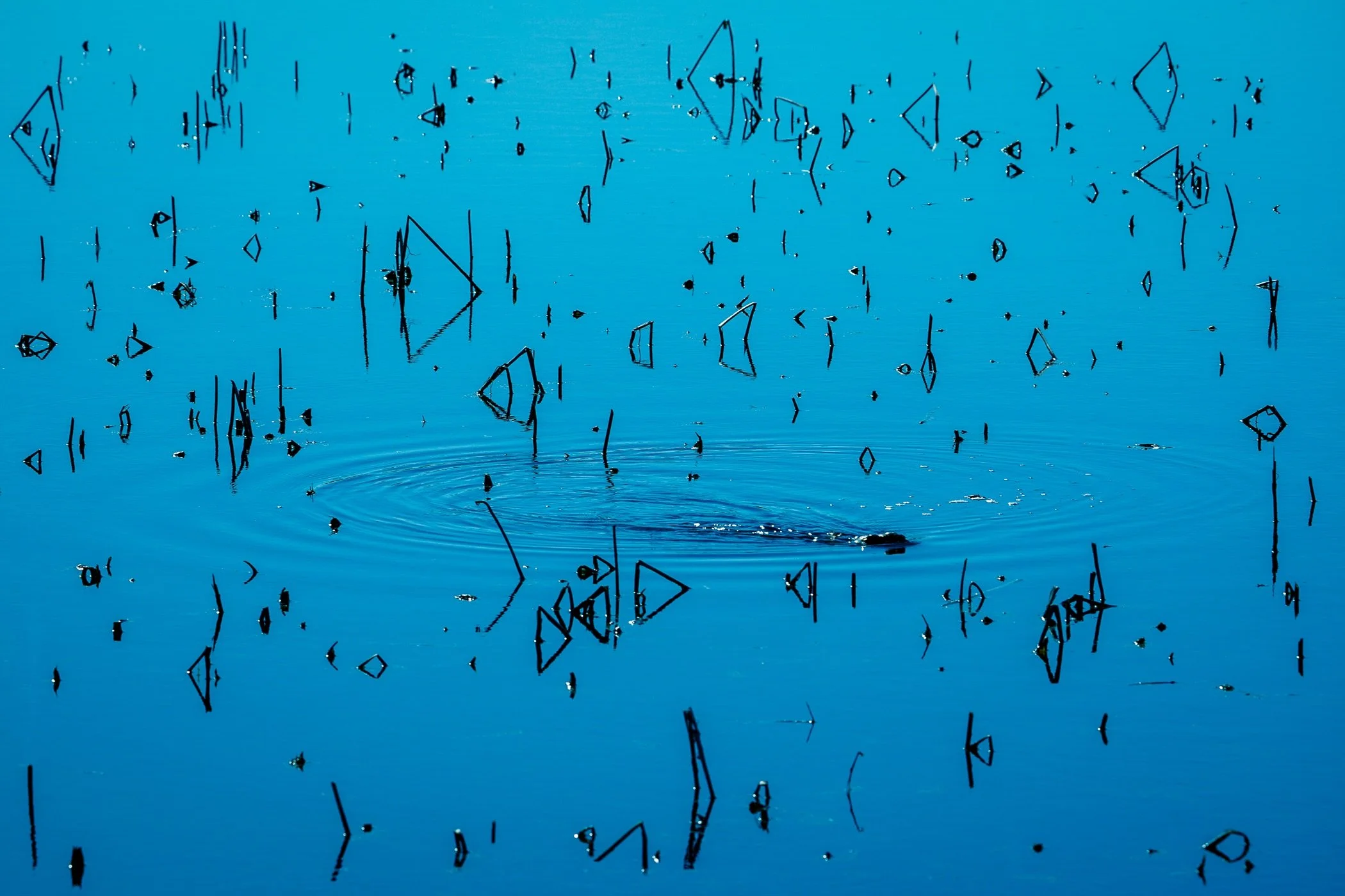 Shapes in Water copy.jpg