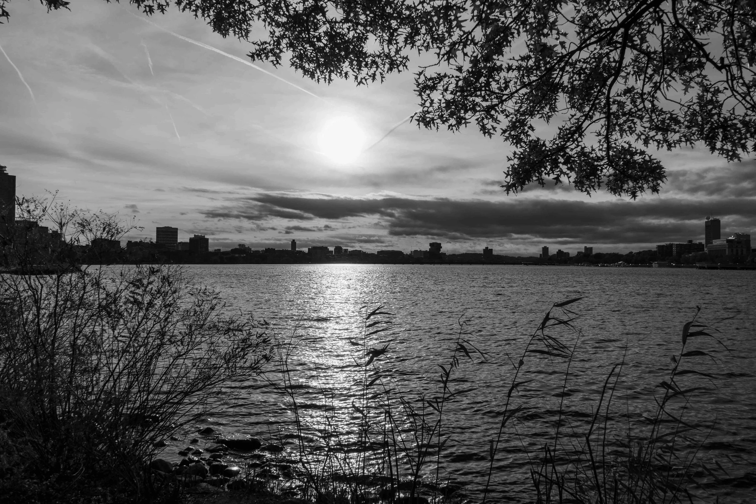 Boston Skyline by Charles B&W copy.jpg