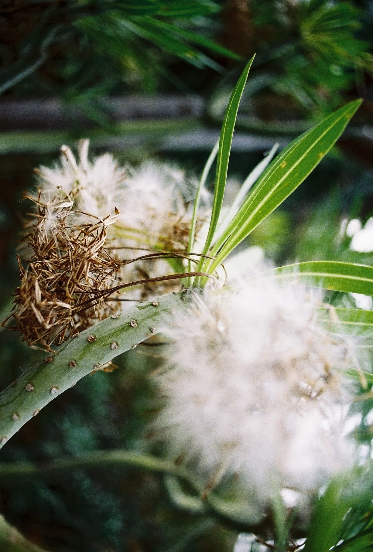 Yoga Nidra Für besseren Schlaf und Erholung