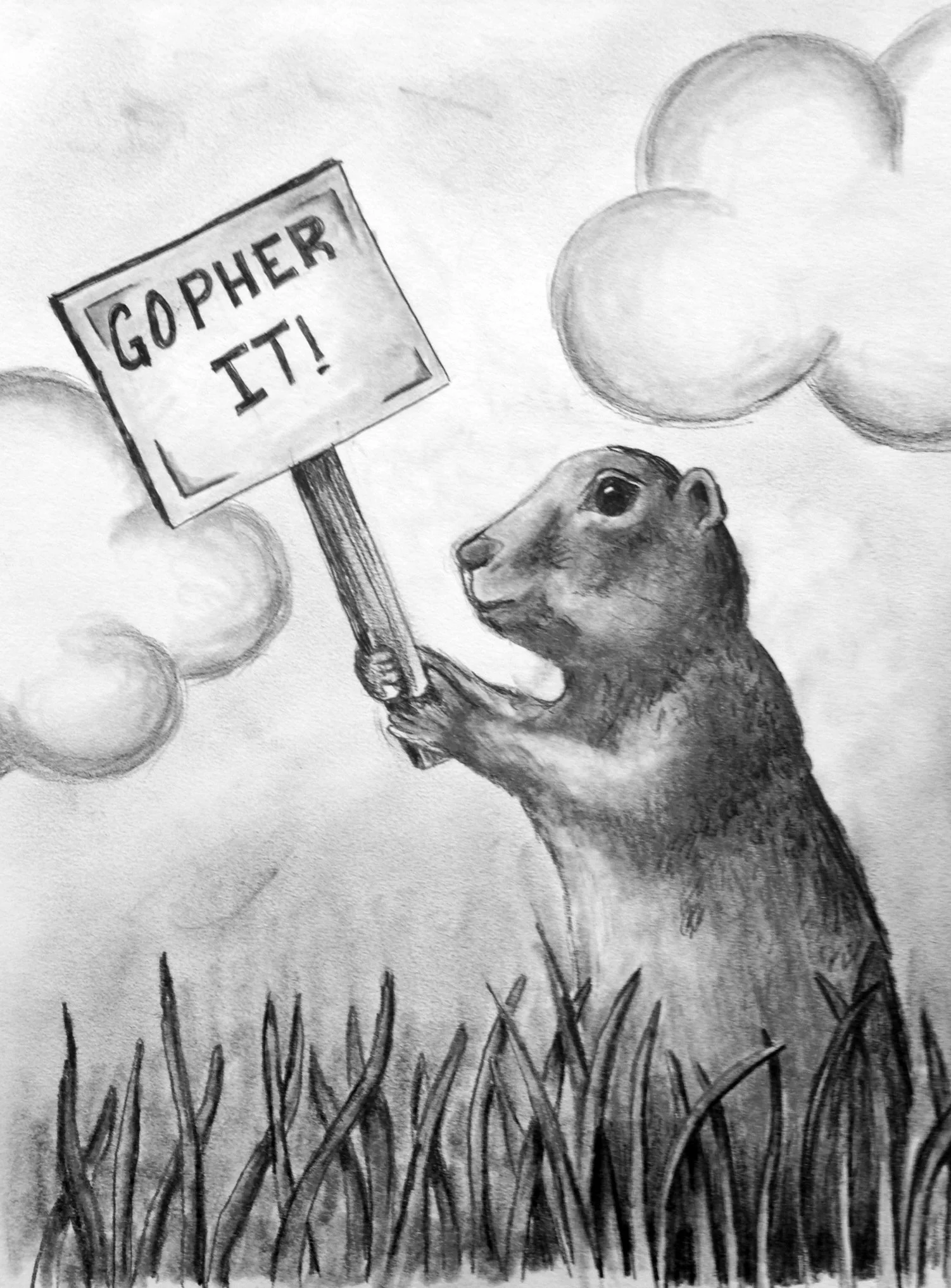 Gopher It!