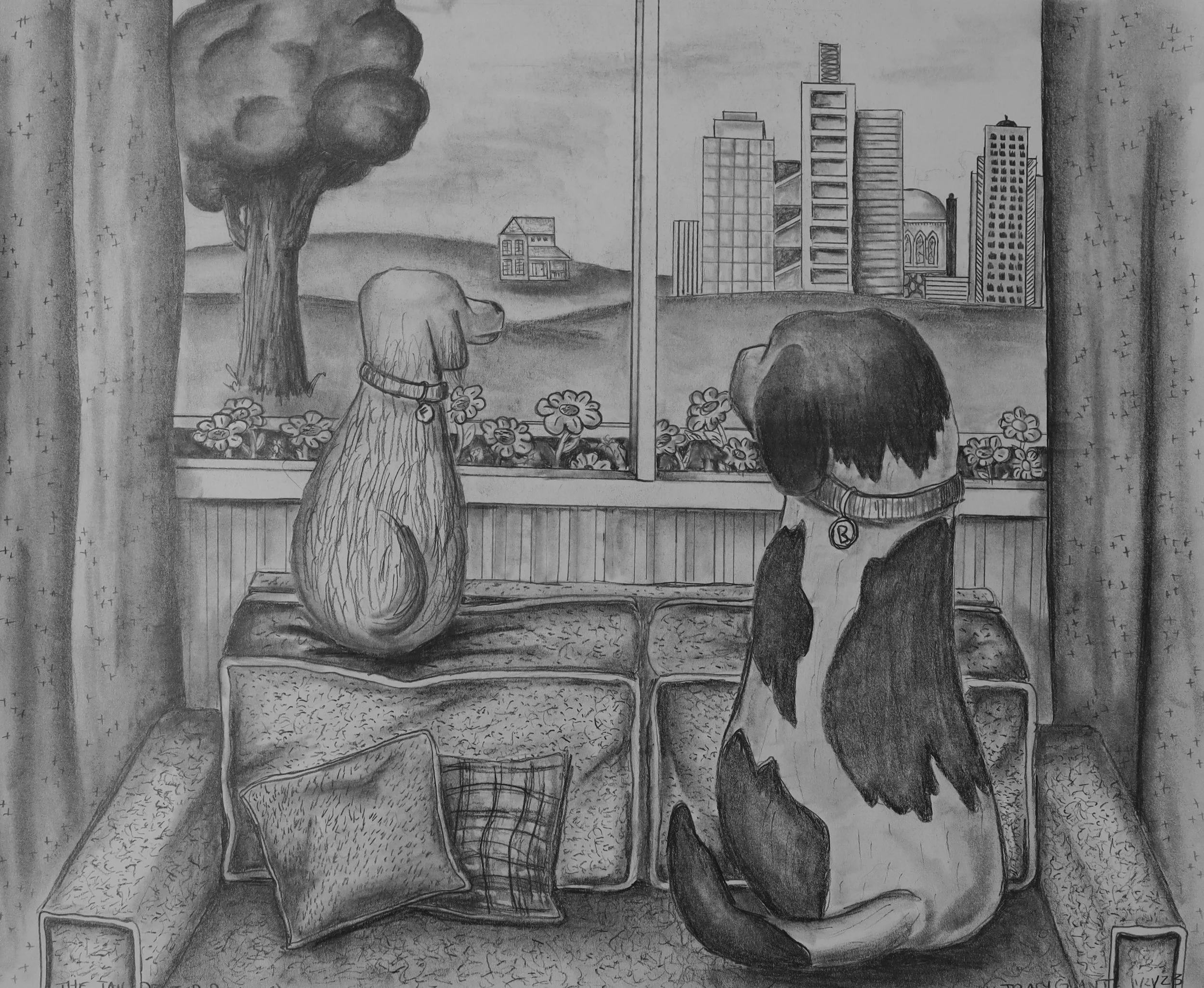 A Tail of Two Sitties